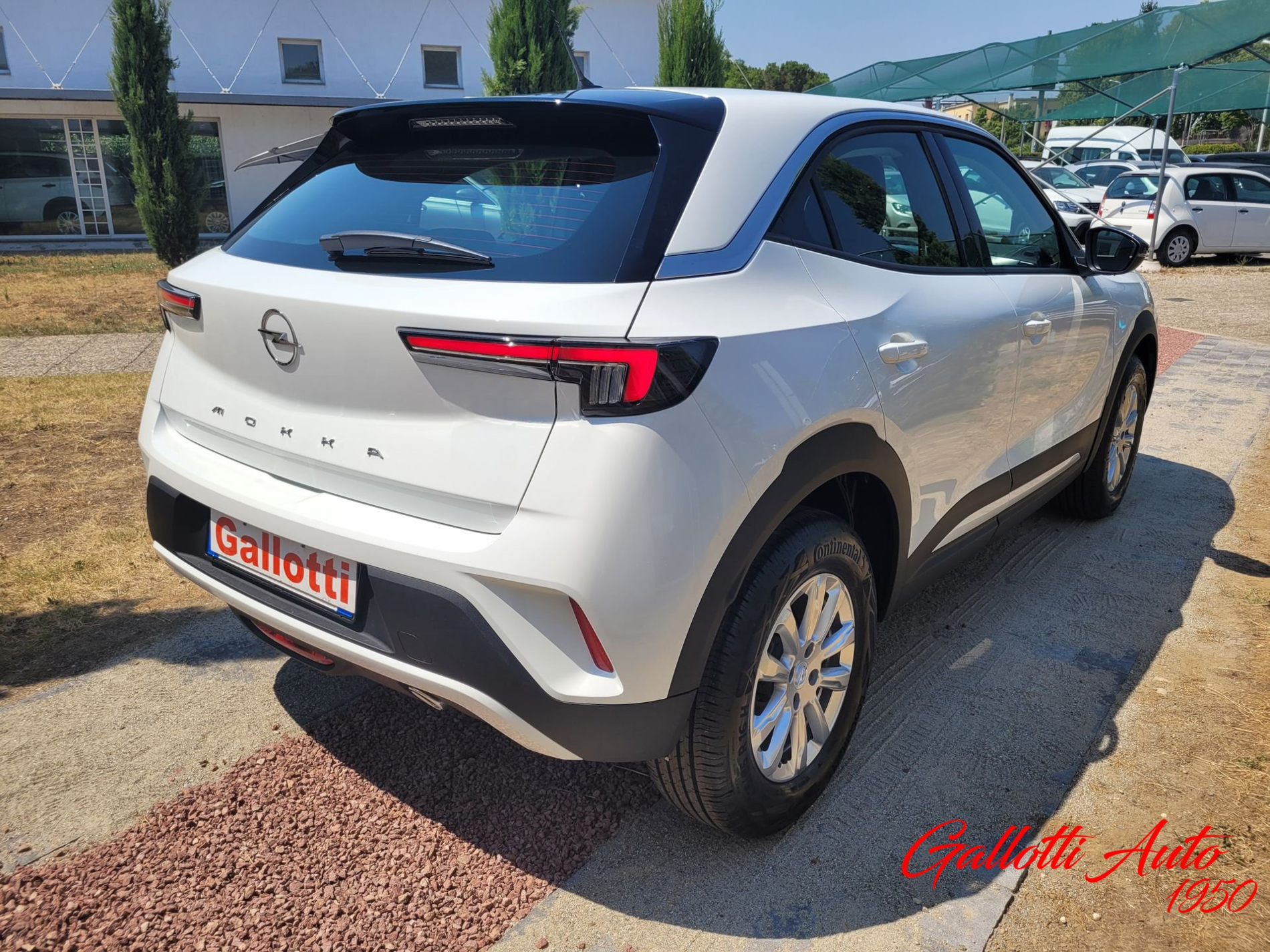 1.5 diesel Edition - PROMO GALLOTTI - Gallotti Auto