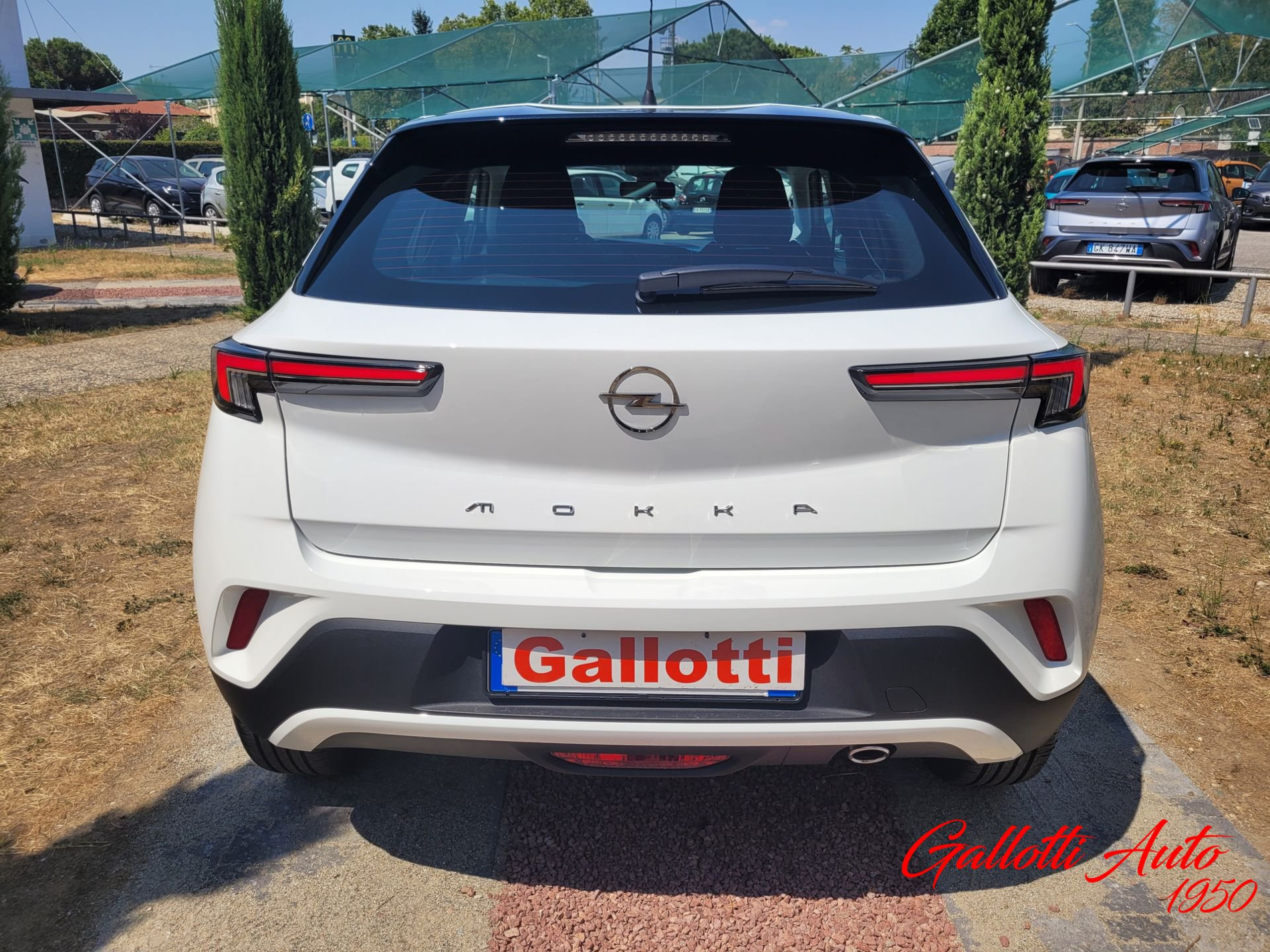 1.5 diesel Edition - PROMO GALLOTTI - Gallotti Auto