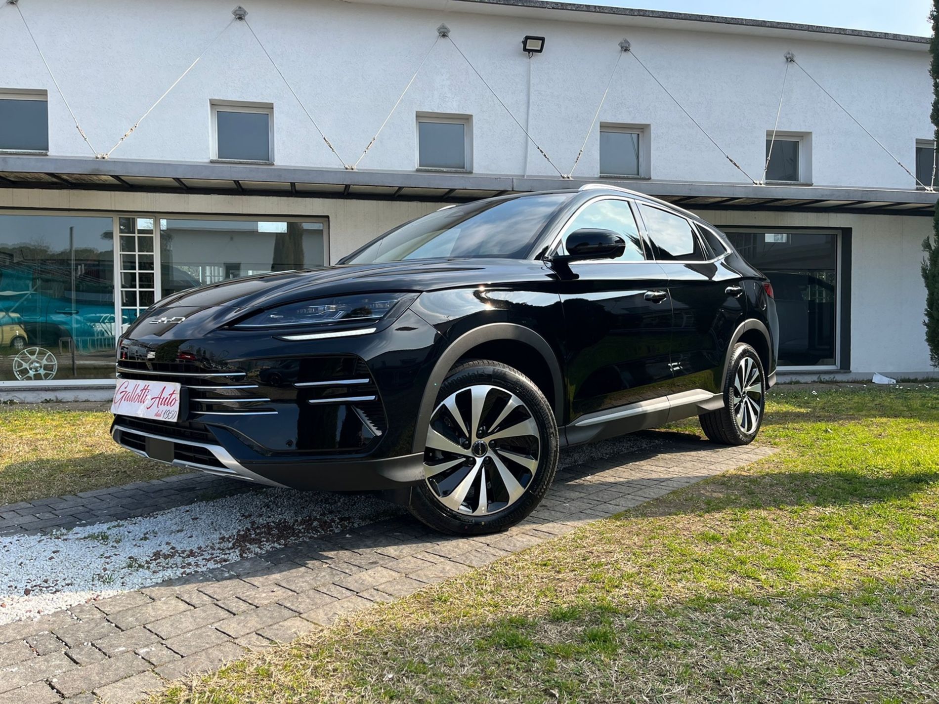 DM-i Comfort 1.5 phev 218cv 2wd autom.  - Gallotti Auto