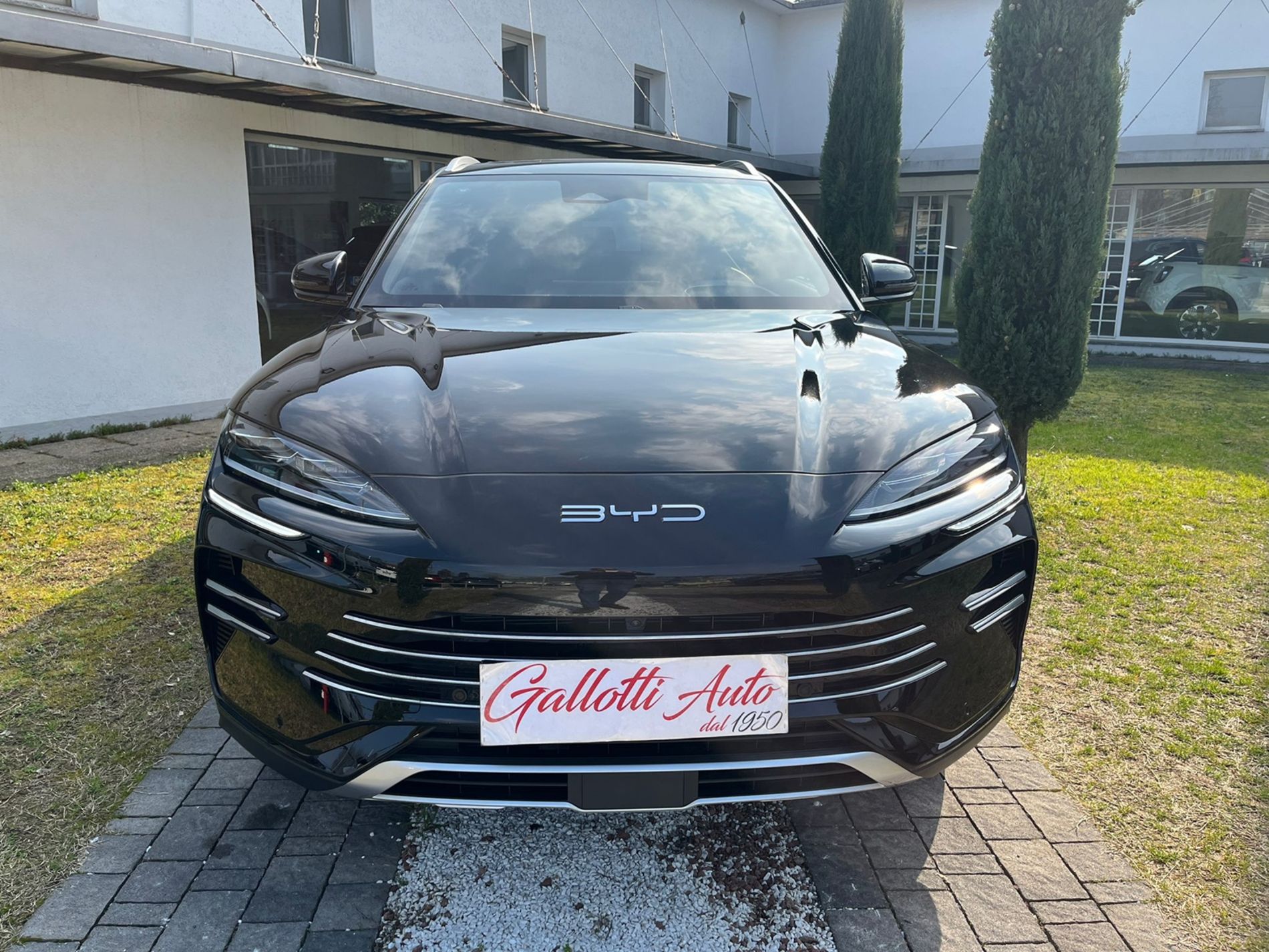 DM-i Comfort 1.5 phev 218cv 2wd autom.  - Gallotti Auto