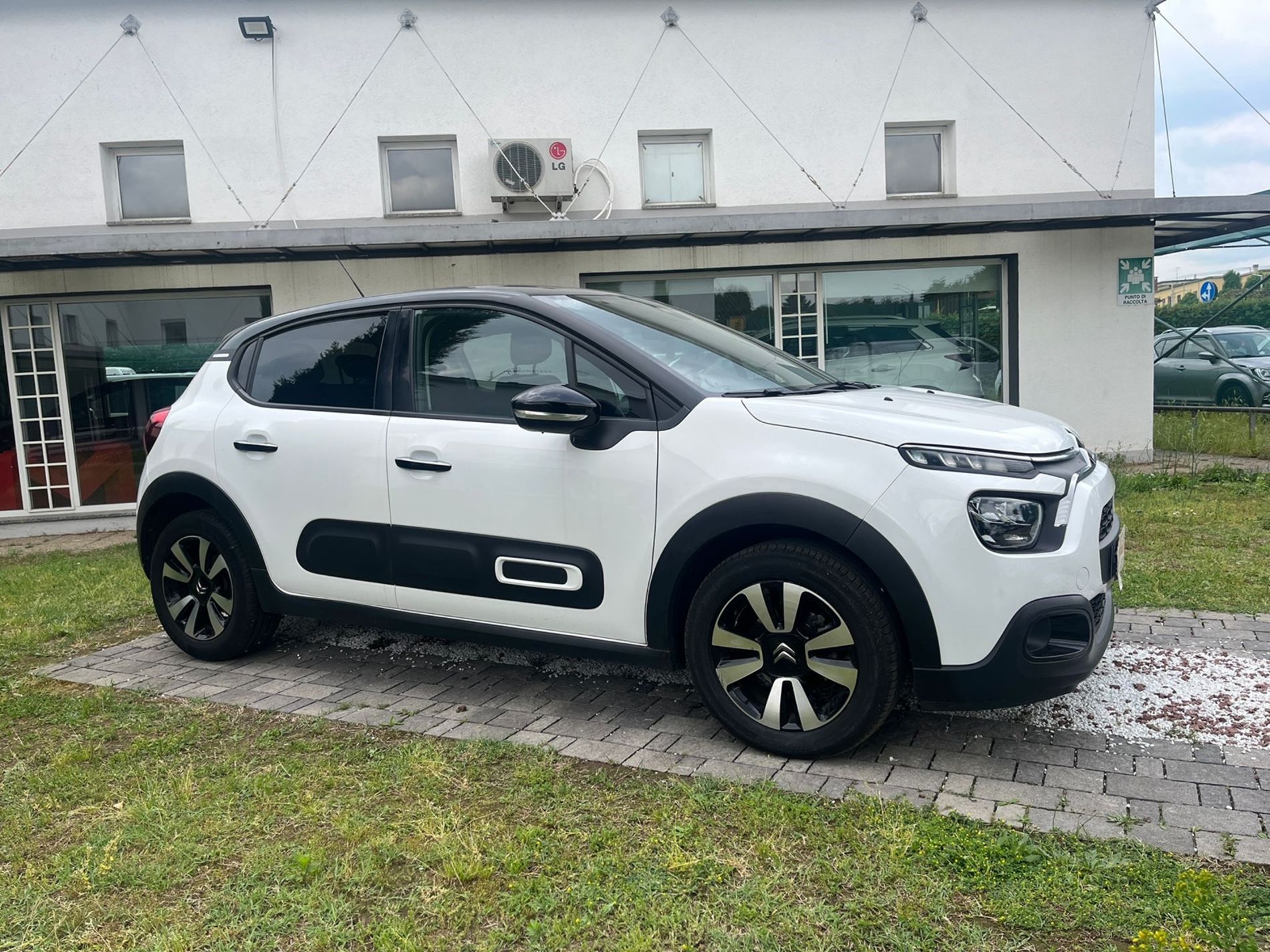 1.2 puretech Shine s&s 110cv EAT6 - SENZA VINCOLI DI FINANZIAMENTO - Gallotti Auto