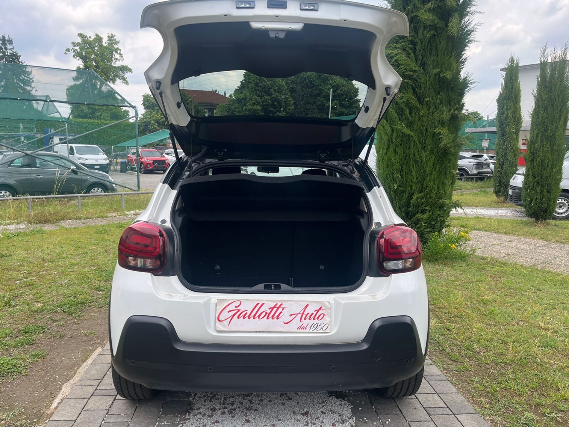 1.2 puretech Shine s&s 110cv EAT6 - SENZA VINCOLI DI FINANZIAMENTO - Gallotti Auto