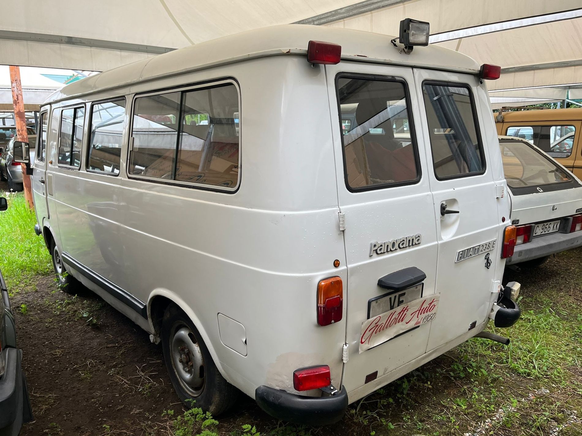 FIAT 238 E Panorama - Gallotti Auto