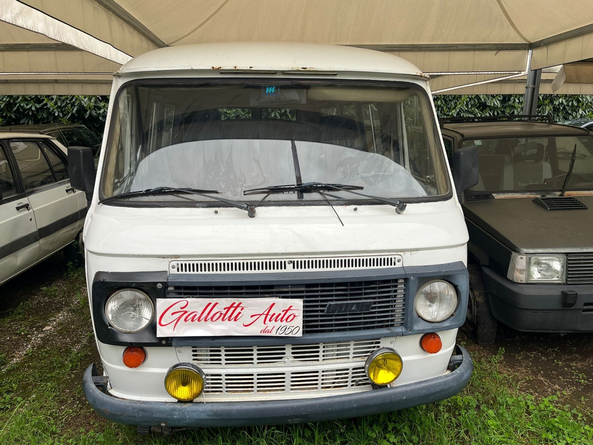 FIAT 238 E Panorama - Gallotti Auto