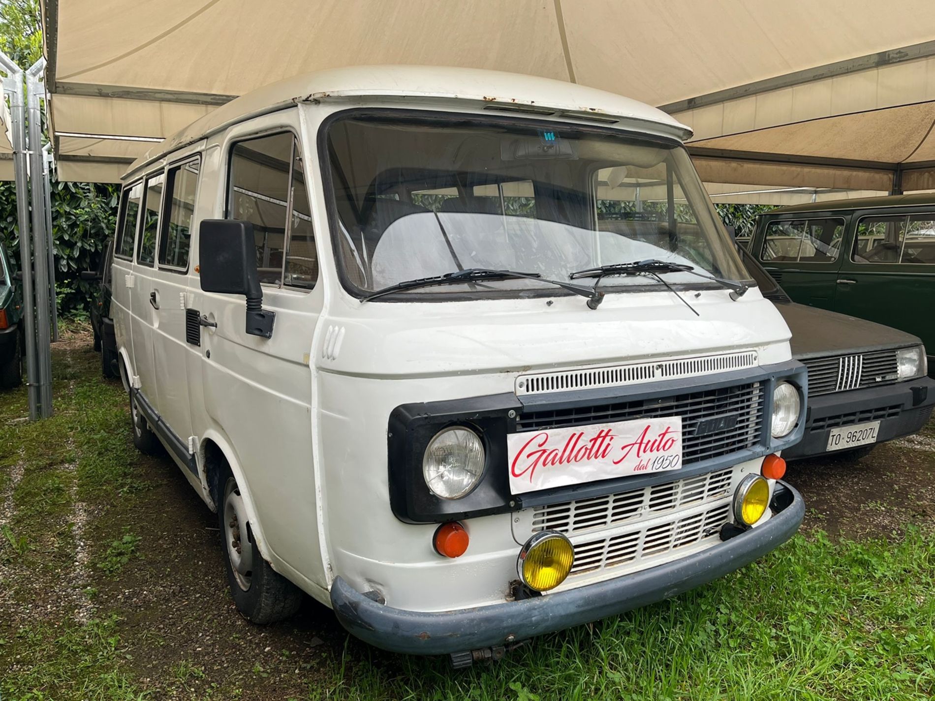 FIAT 238 E Panorama - Gallotti Auto