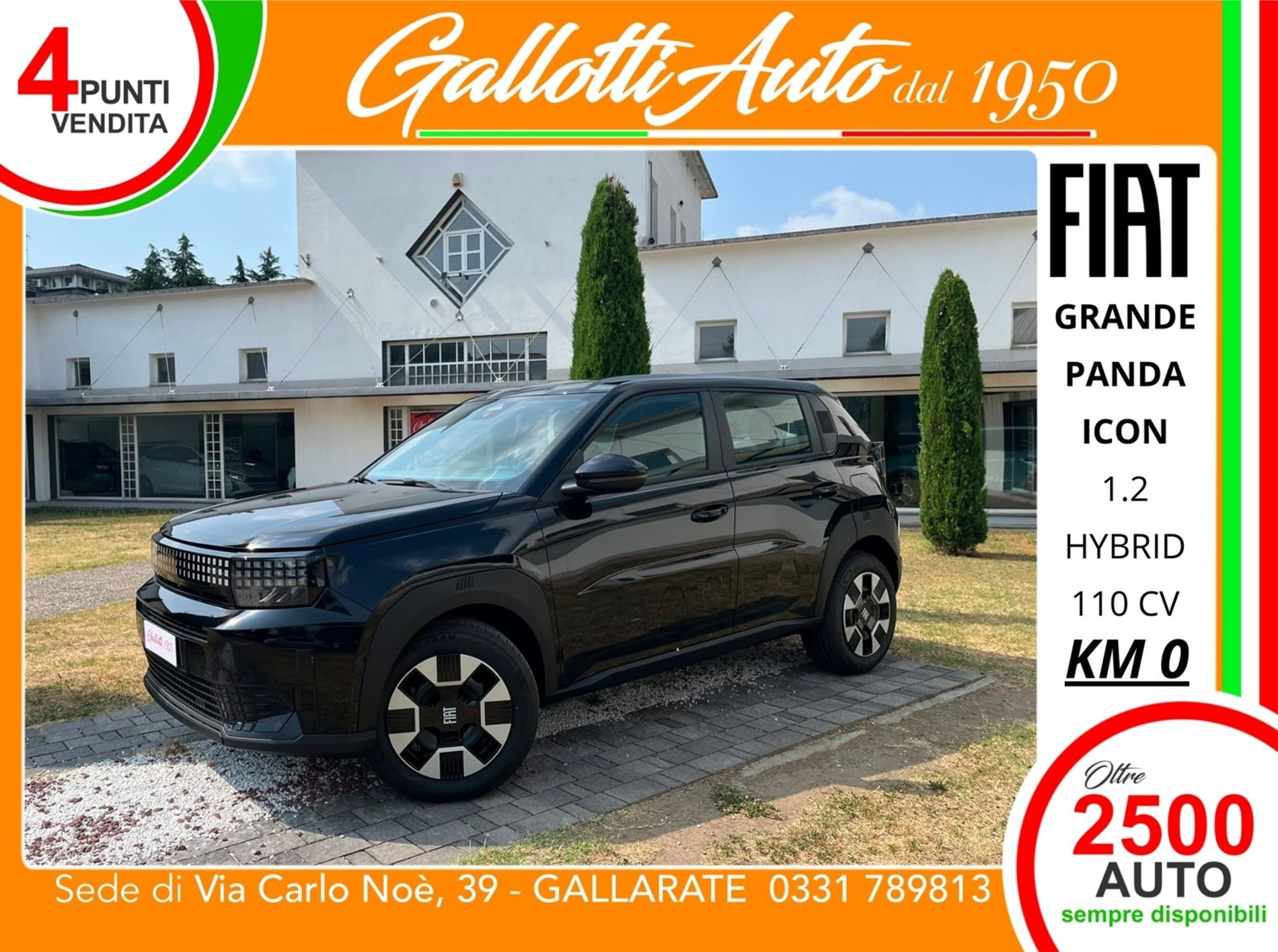 1.2 hybrid Icon 110cv edct - SENZA VINCOLI DI FINANZIAMENTO - Gallotti Auto