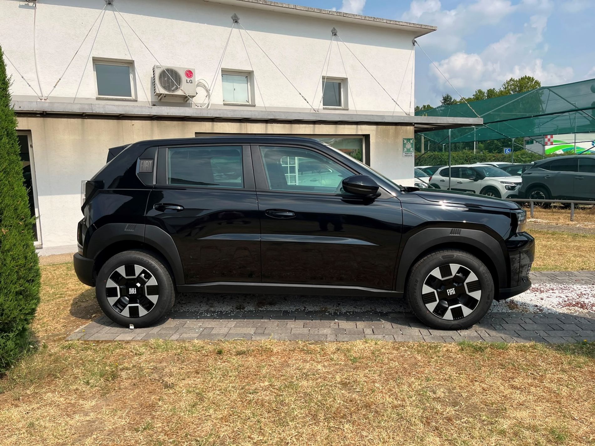 1.2 hybrid Icon 110cv edct - SENZA VINCOLI DI FINANZIAMENTO - Gallotti Auto