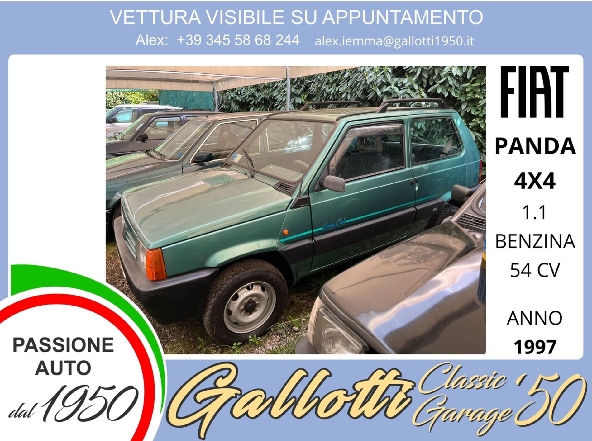 FIAT PANDA  - Gallotti Auto