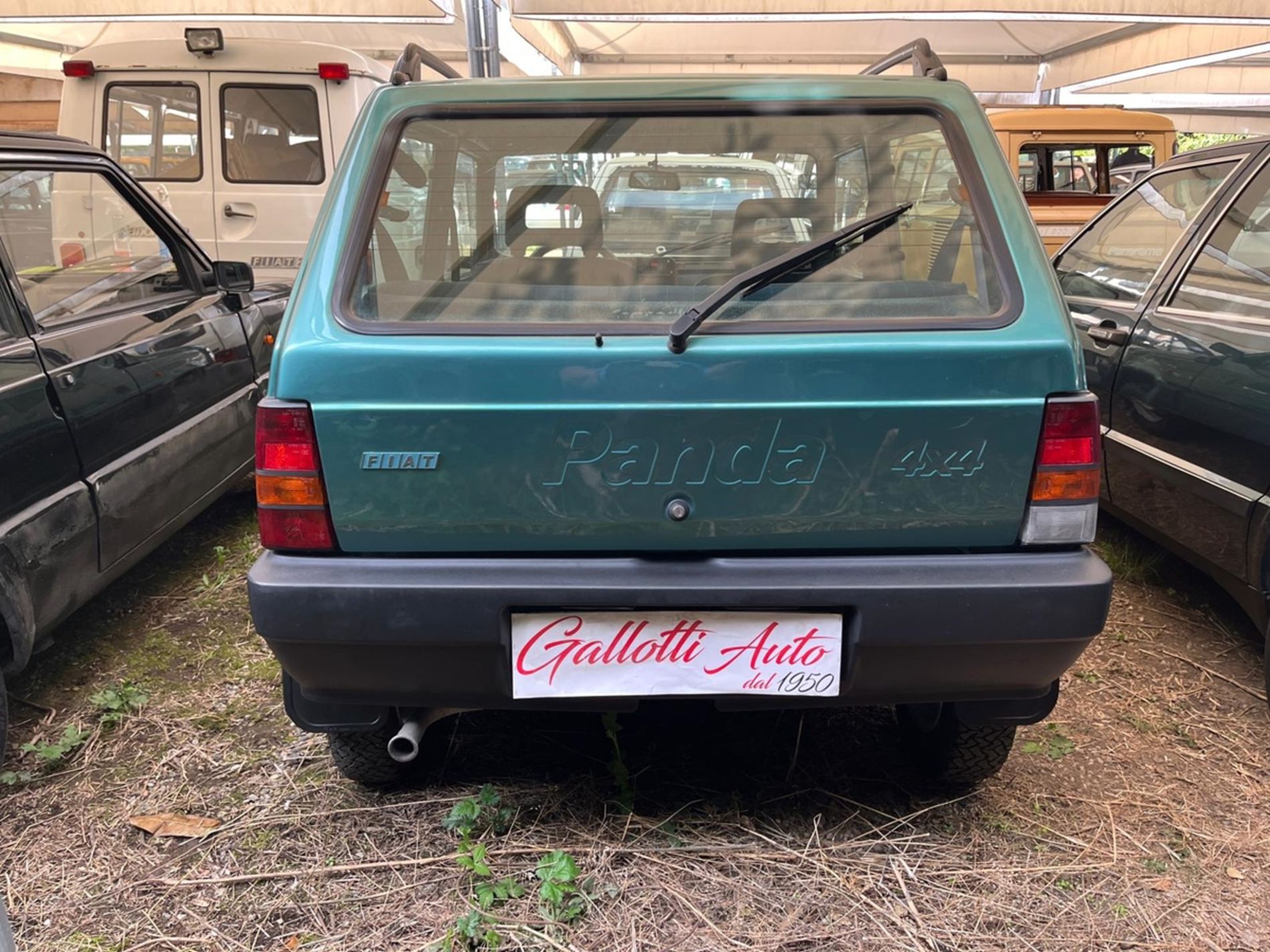 FIAT PANDA  - Gallotti Auto