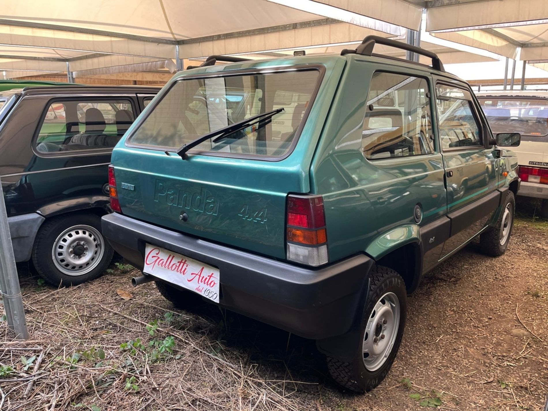 FIAT PANDA  - Gallotti Auto