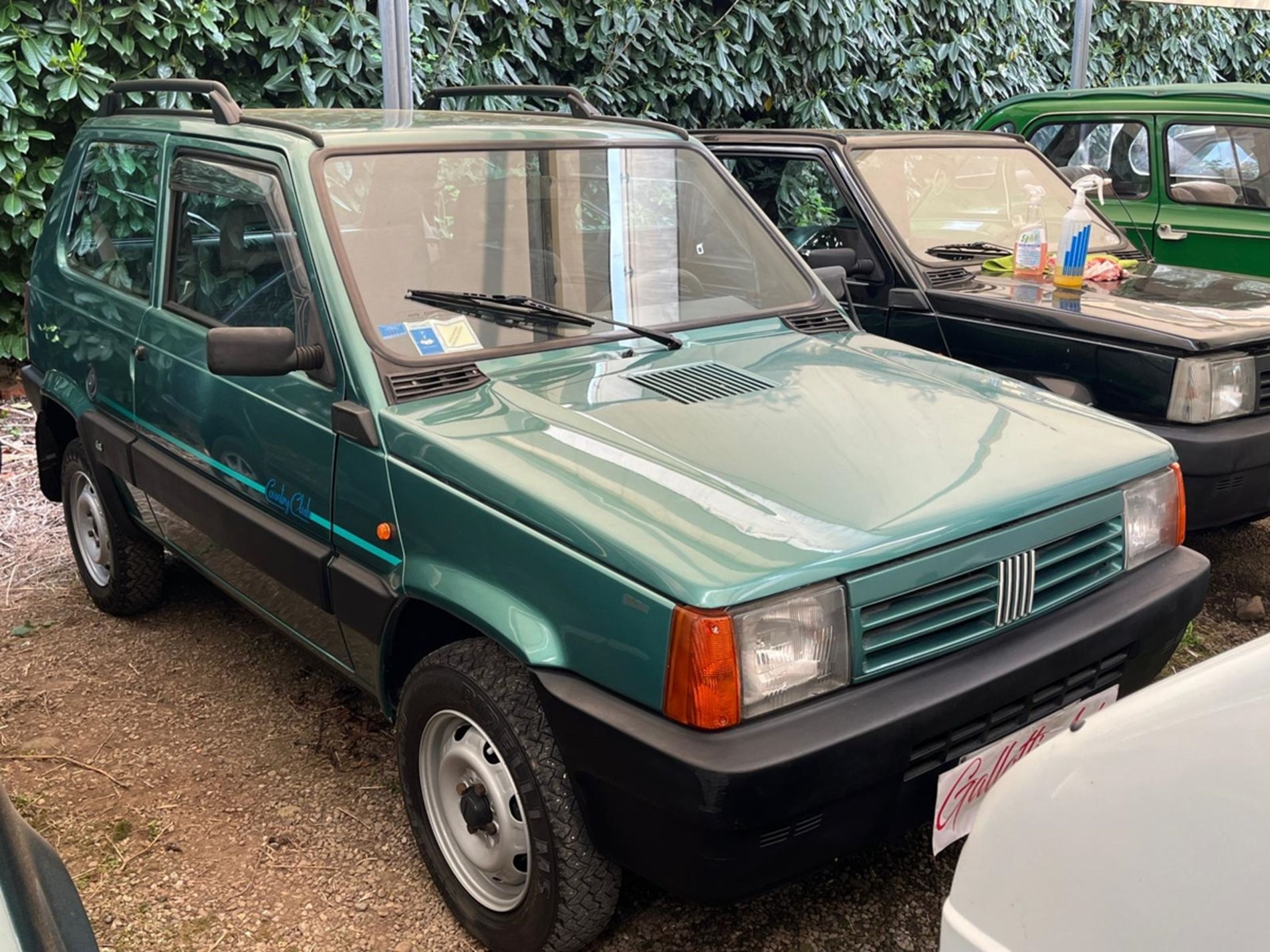 FIAT PANDA  - Gallotti Auto