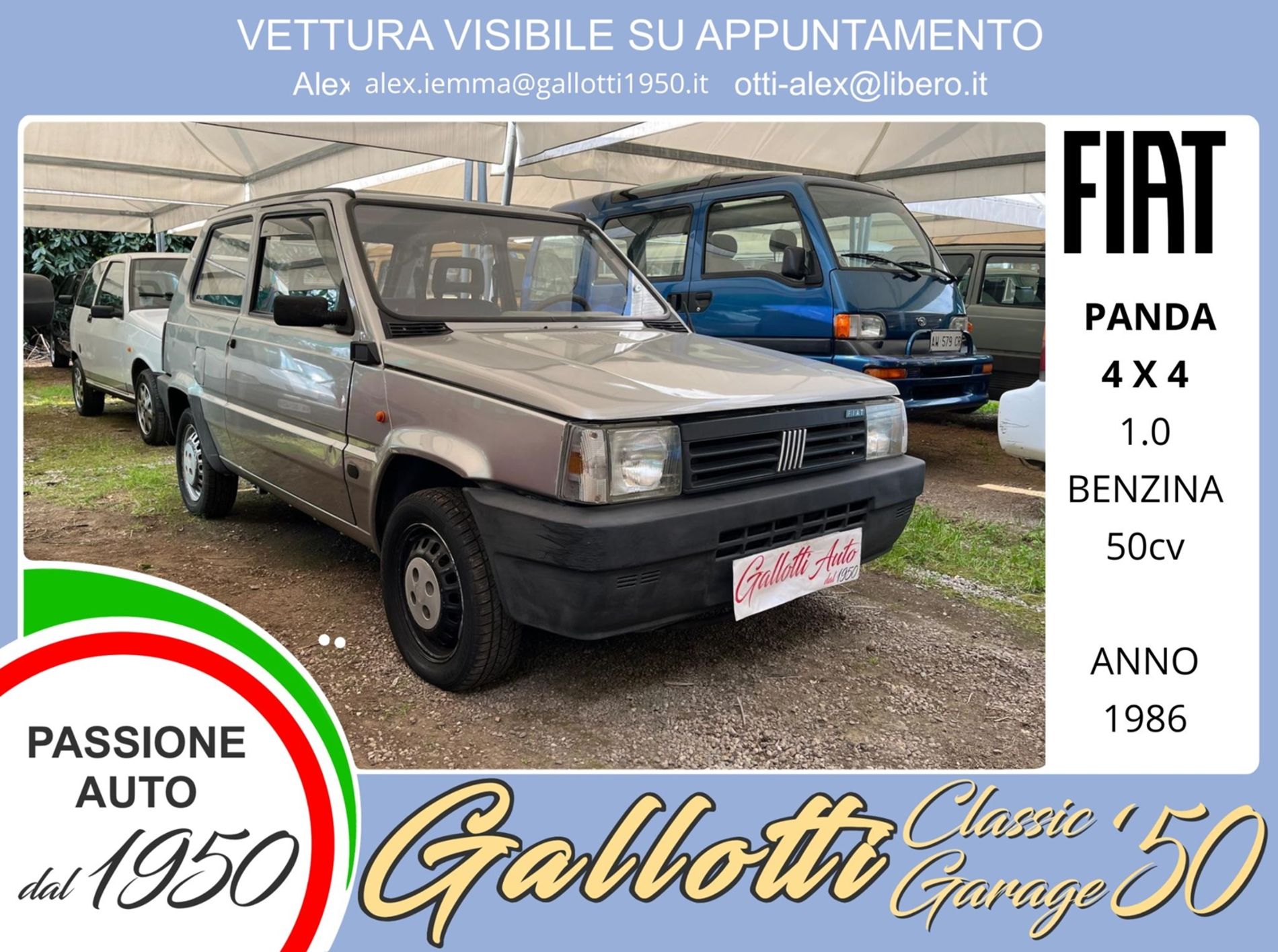 FIAT PANDA 4 X 4 - Gallotti Auto