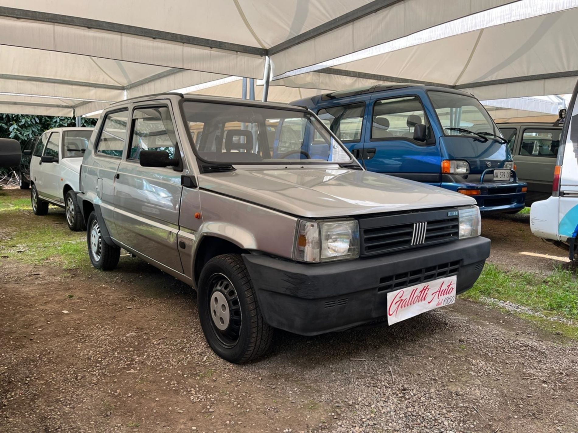FIAT PANDA 4 X 4 - Gallotti Auto