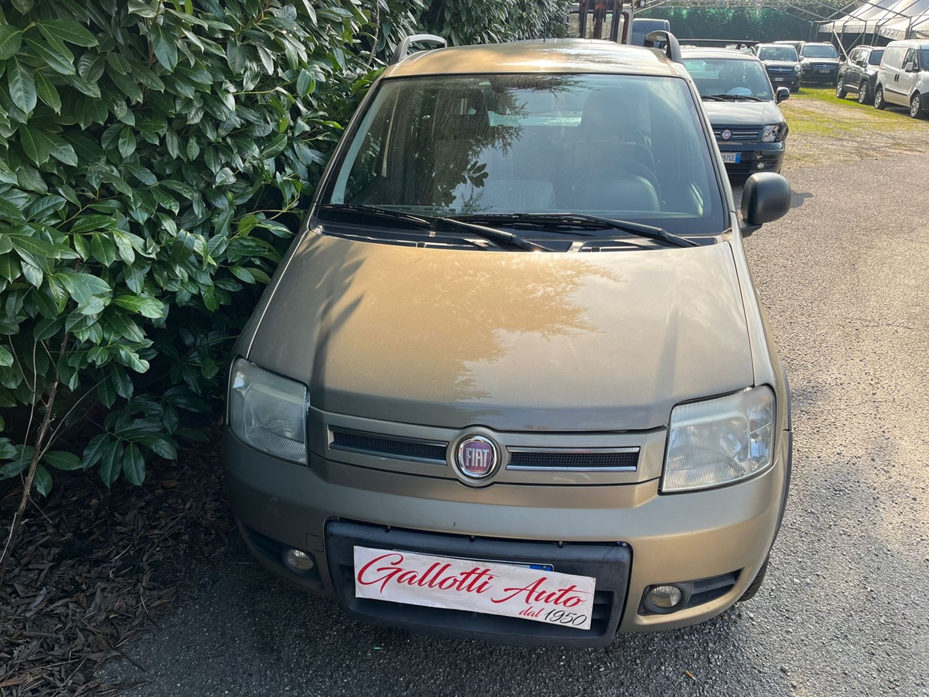 1.3 mjt 16v 4x4 70CV- RISERVATA A COMMERCIANTI D’AUTO - Gallotti Auto