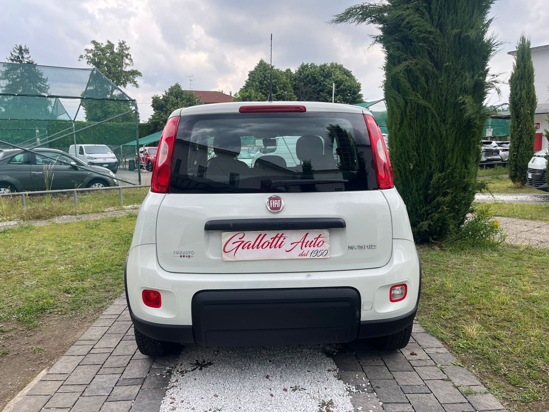1.0 firefly hybrid s&s 70cv 5p.ti  - SENZA VINCOLI DI FINANZIAMENTO - Gallotti Auto