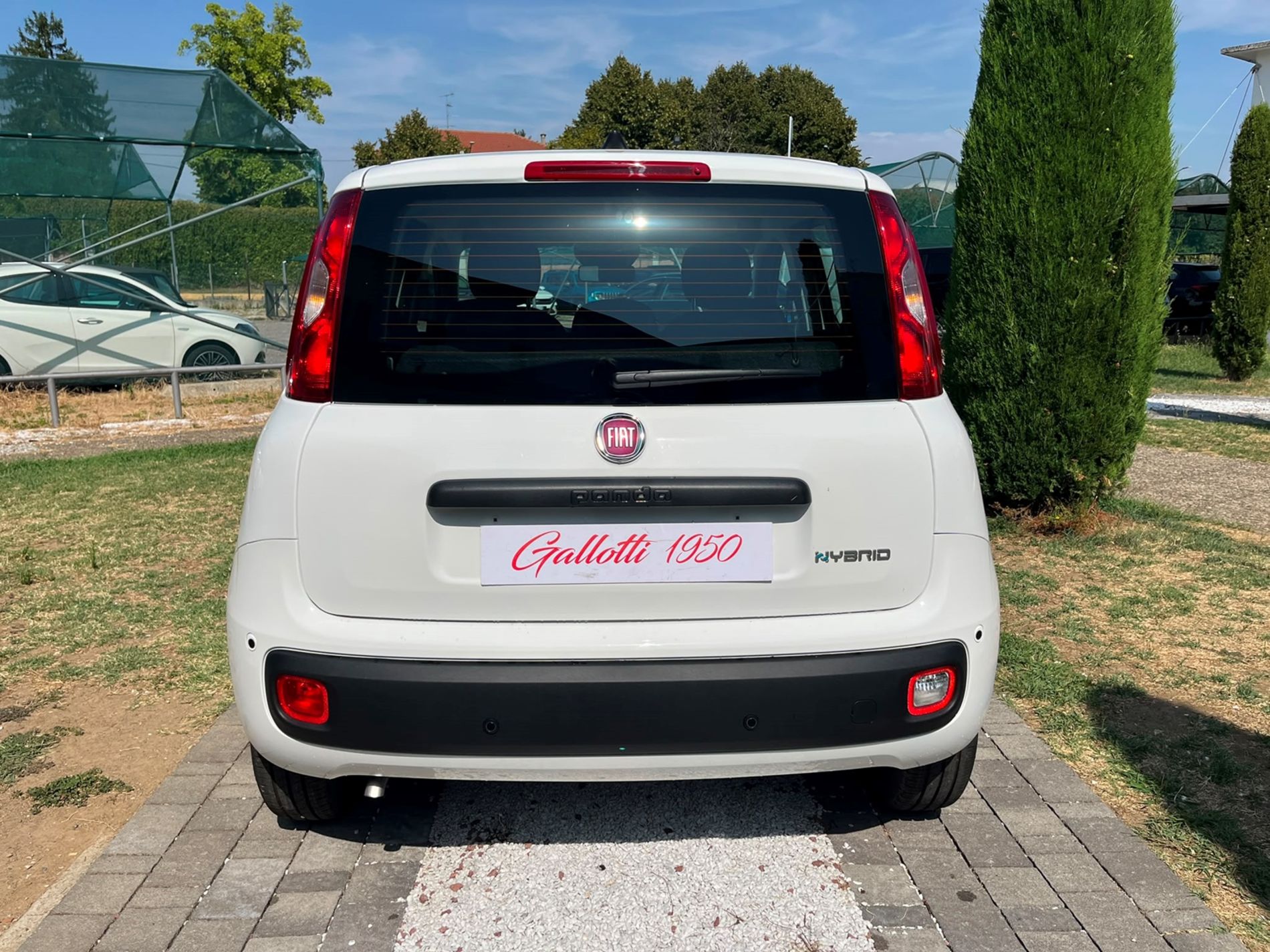 1.0 firefly hybrid Icon s&s 65cv 5p.ti - SENZA VINCOLI DI FINANZIAMENTO - Gallotti Auto