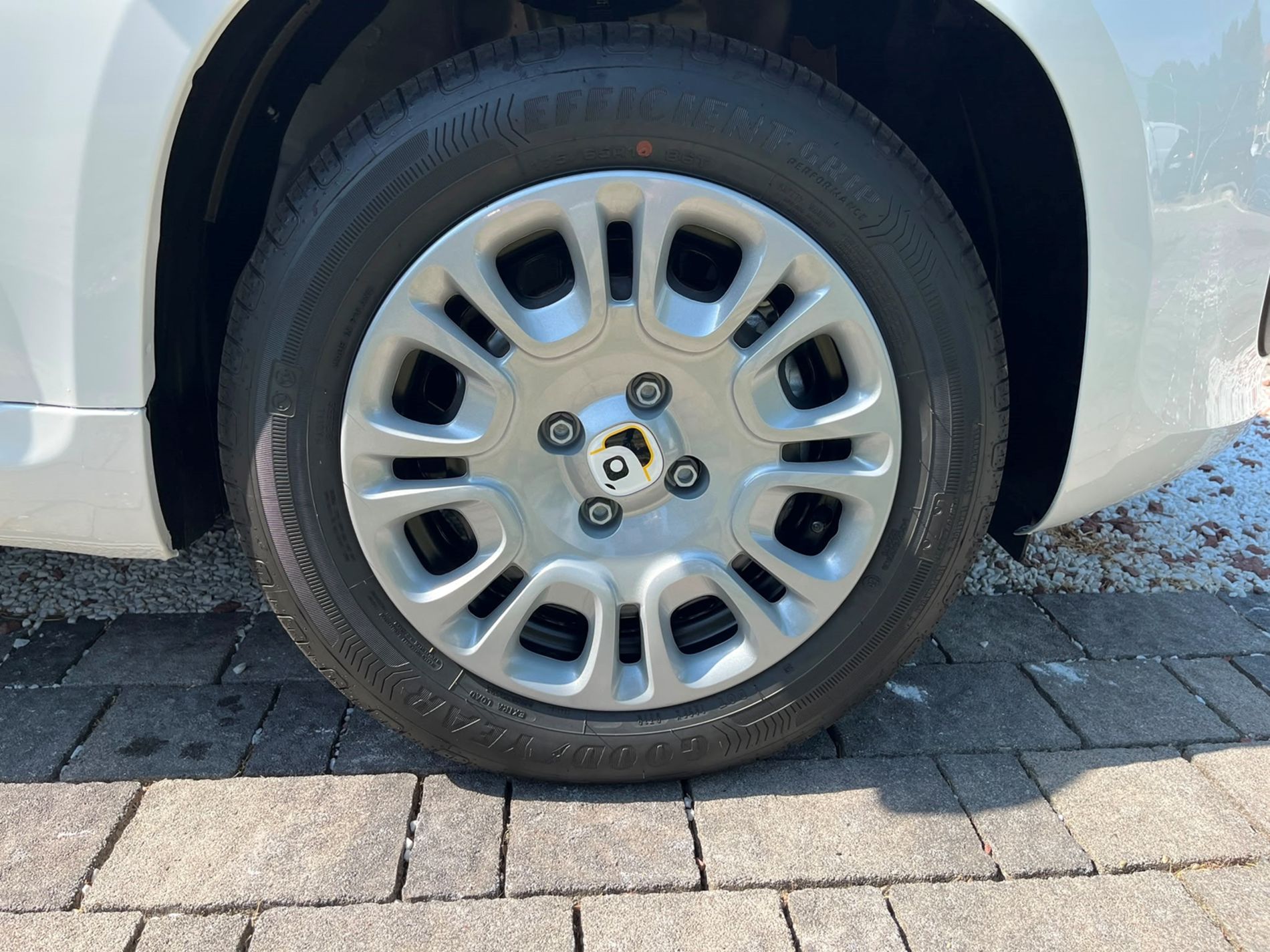1.0 firefly hybrid Icon s&s 65cv 5p.ti - SENZA VINCOLI DI FINANZIAMENTO - Gallotti Auto
