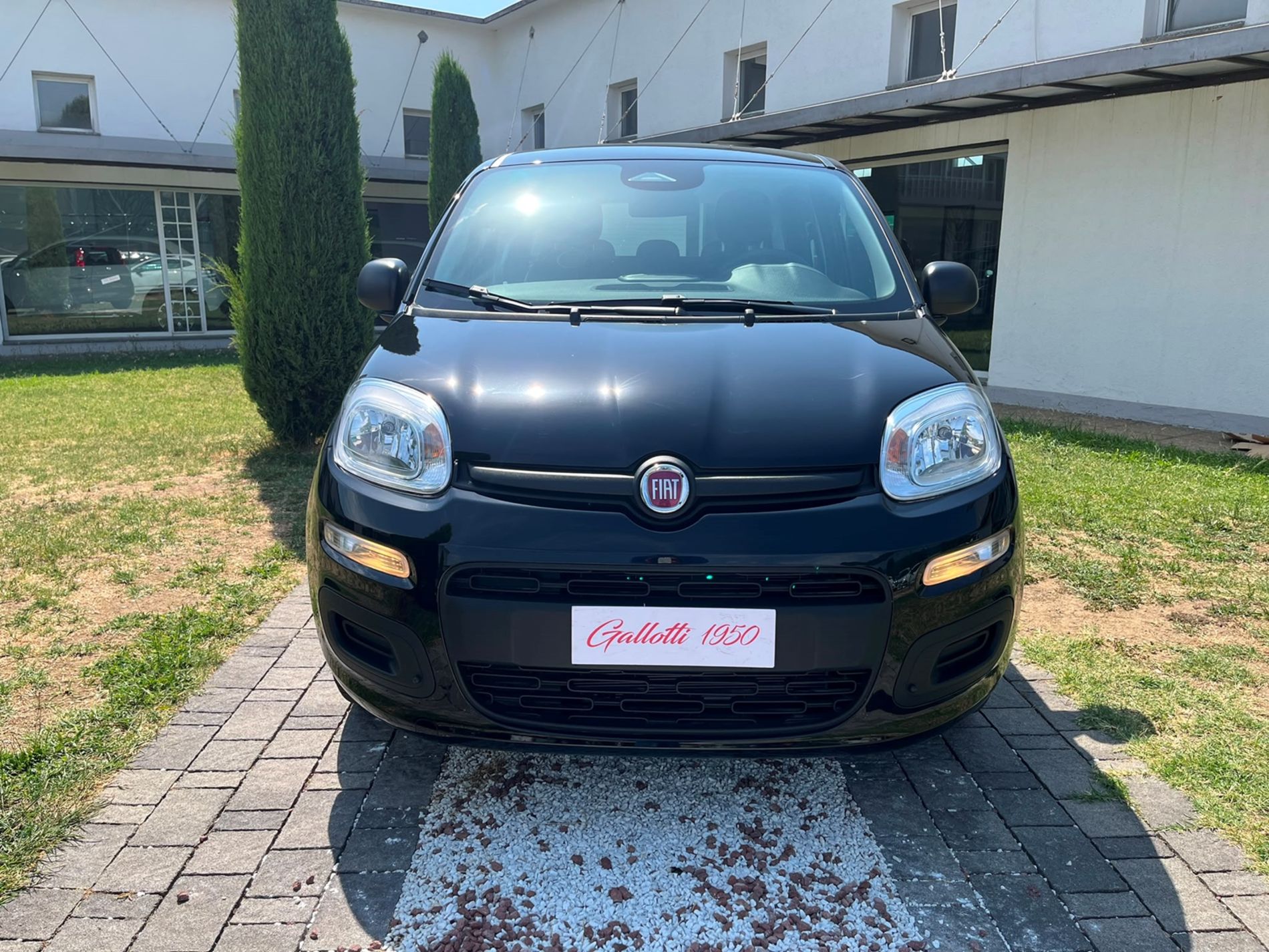1.0 firefly hybrid Icon s&s 65cv 5p.ti - SENZA VINCOLI DI FINANZIAMENTO - Gallotti Auto