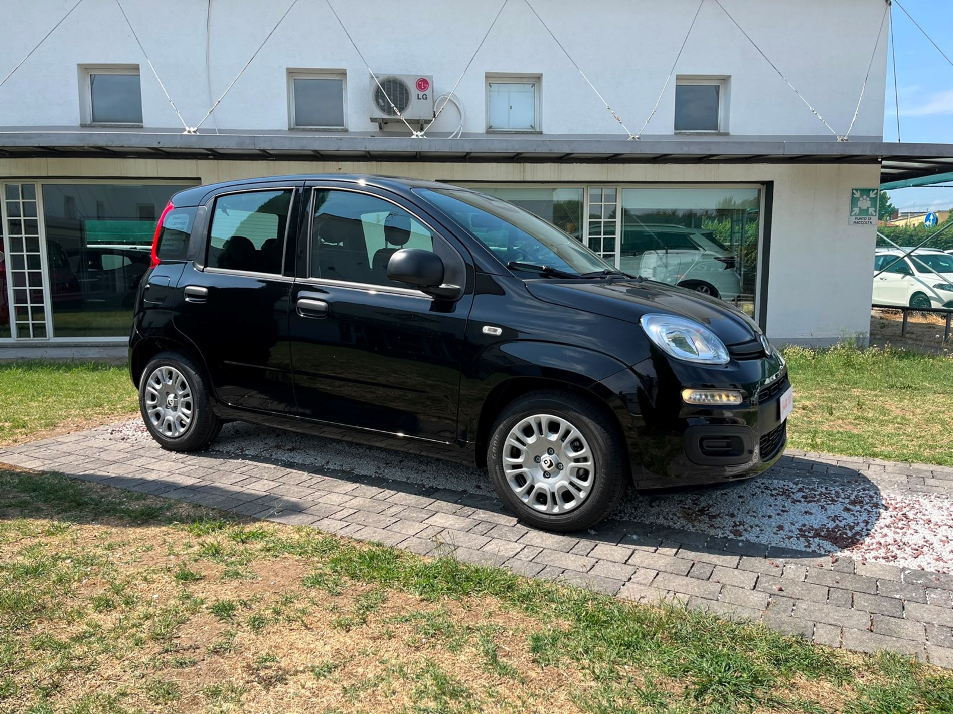 1.0 firefly hybrid Icon s&s 65cv 5p.ti - SENZA VINCOLI DI FINANZIAMENTO - Gallotti Auto