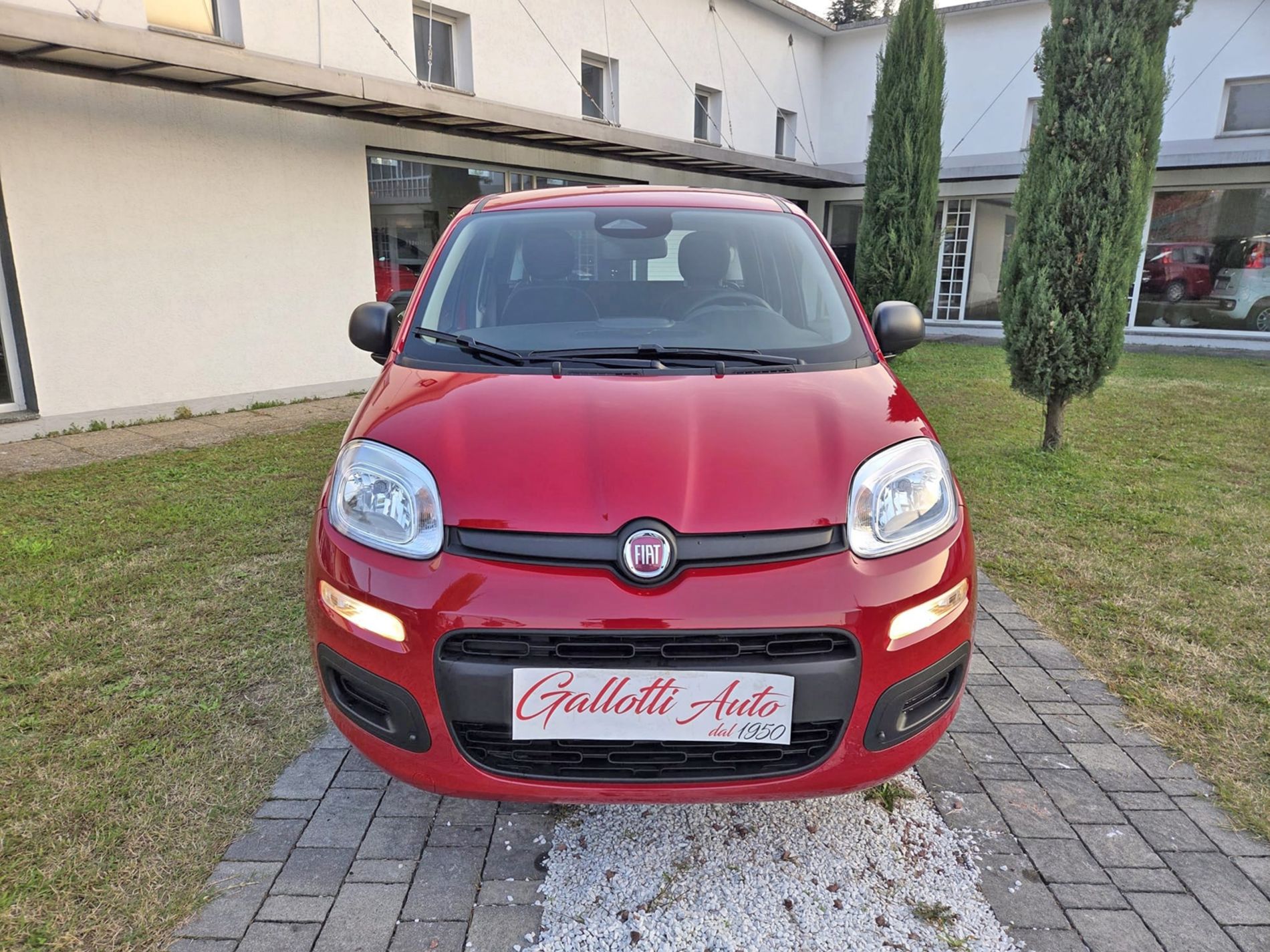 1.0 firefly hybrid Icon s&s 65cv 5p.ti - PRMO GALLOTTI - Gallotti Auto