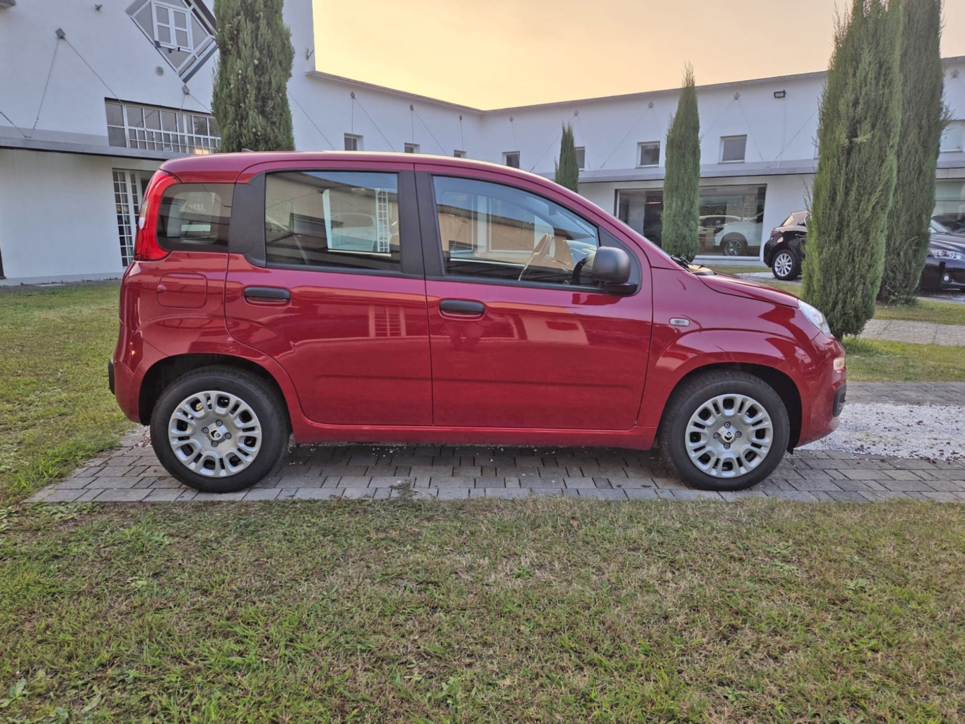 1.0 firefly hybrid Icon s&s 65cv 5p.ti - PRMO GALLOTTI - Gallotti Auto