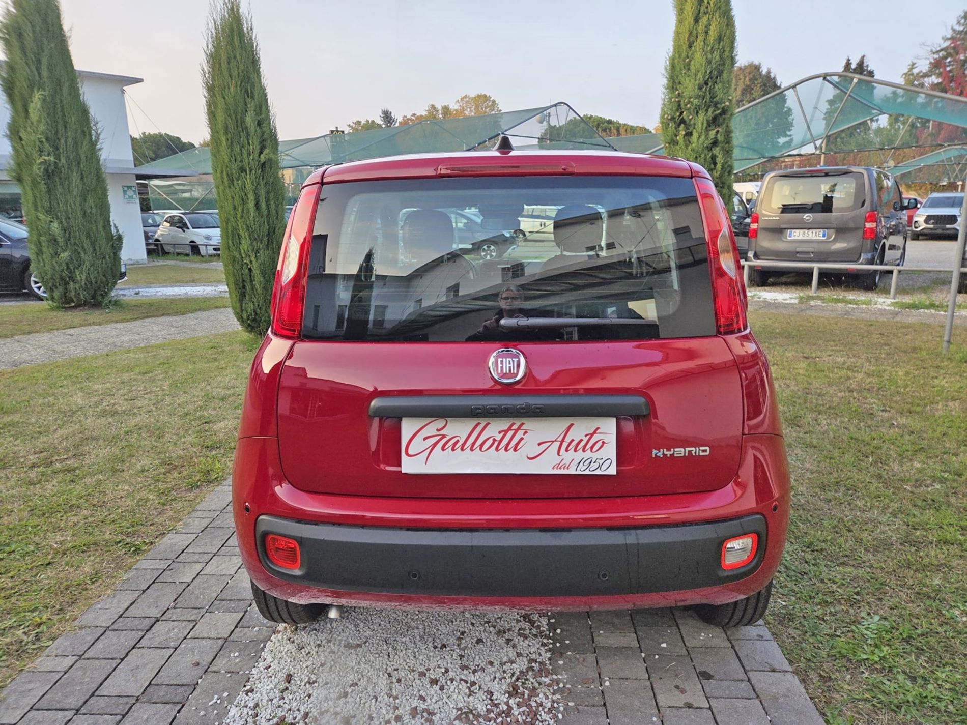 1.0 firefly hybrid Icon s&s 65cv 5p.ti - PRMO GALLOTTI - Gallotti Auto