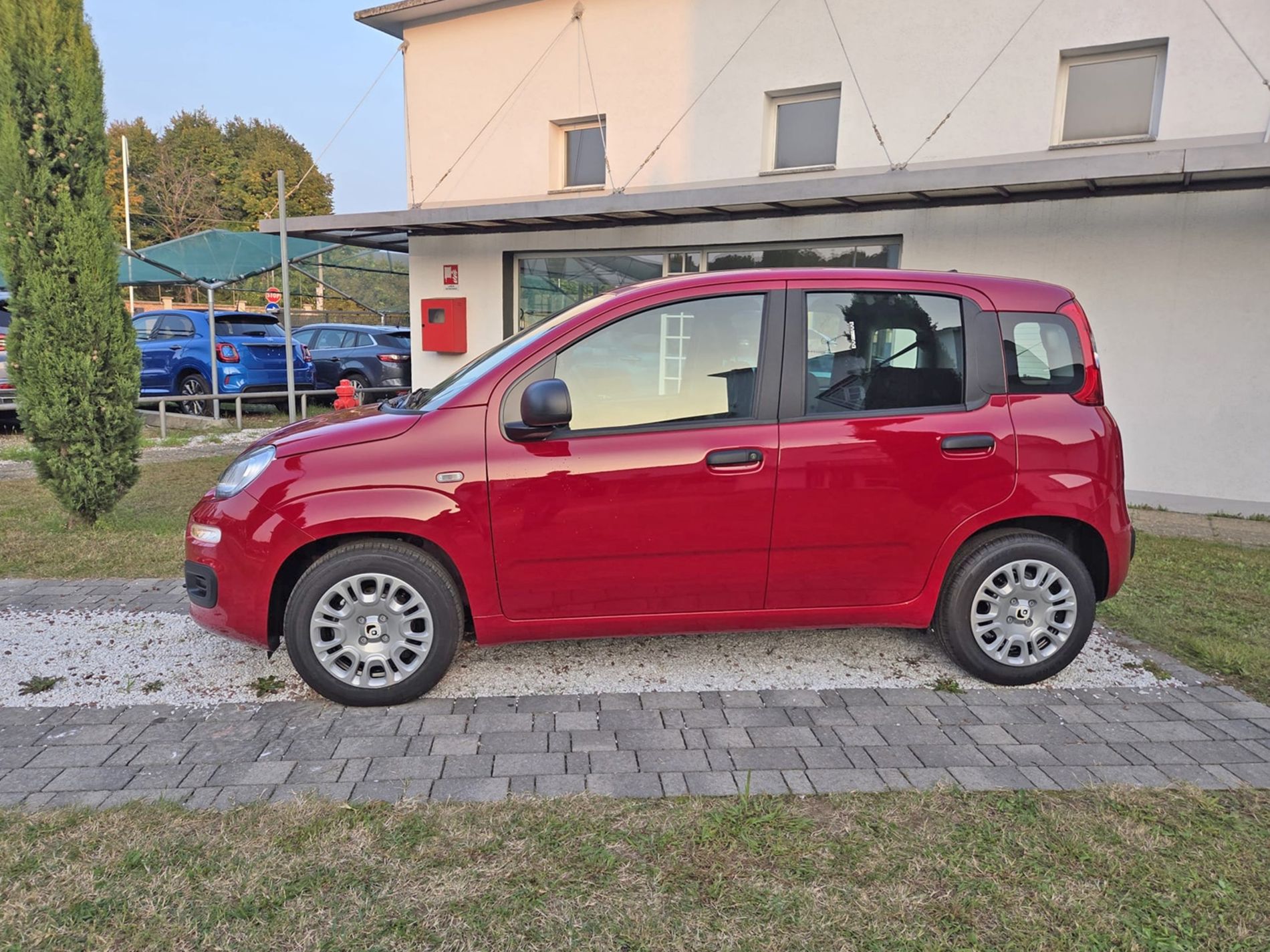 1.0 firefly hybrid Icon s&s 65cv 5p.ti - PRMO GALLOTTI - Gallotti Auto