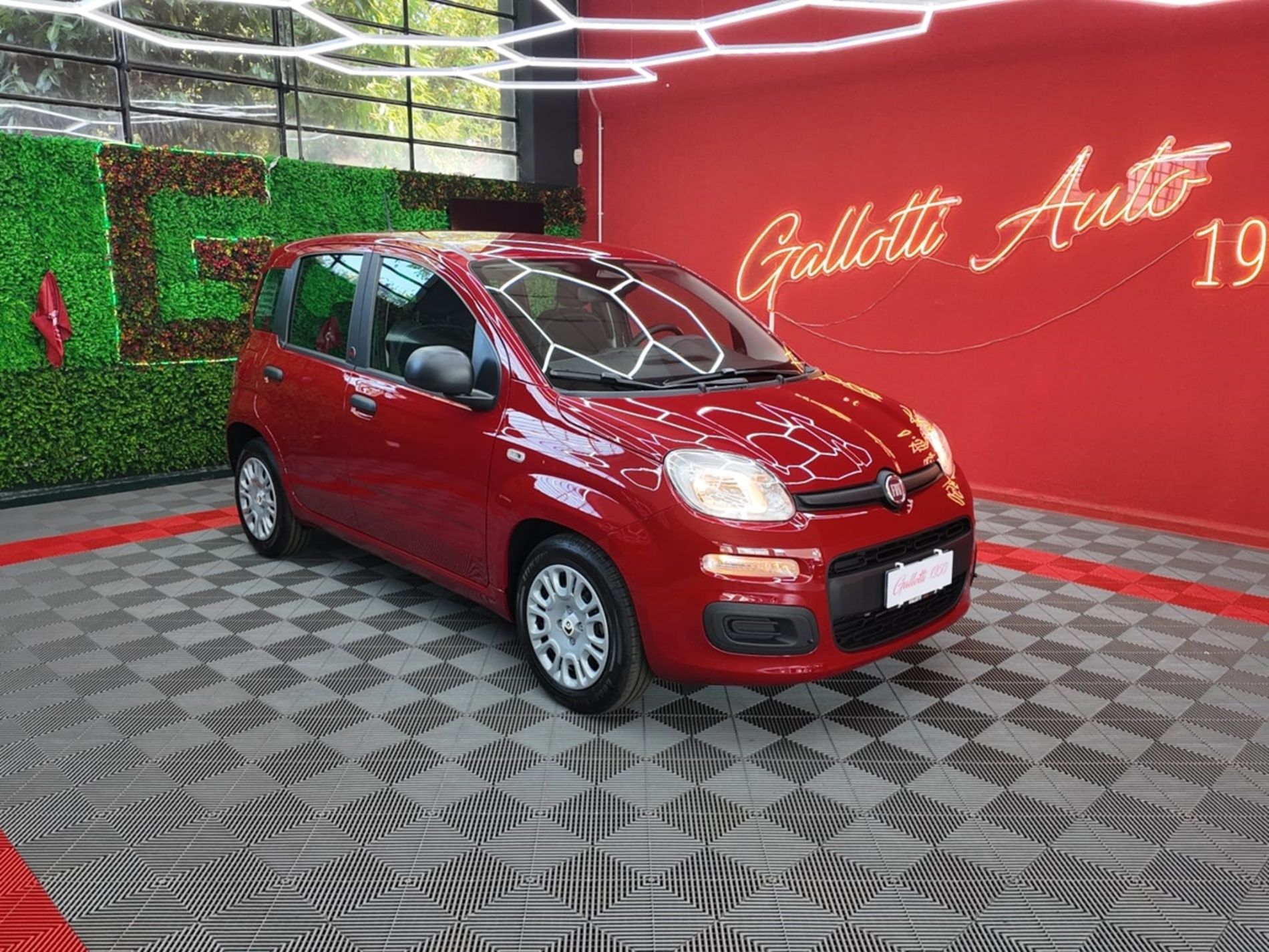 1.0 firefly hybrid Icon s&s 65cv 5p.ti - SENZA VINCOLI di FIN. - Gallotti Auto