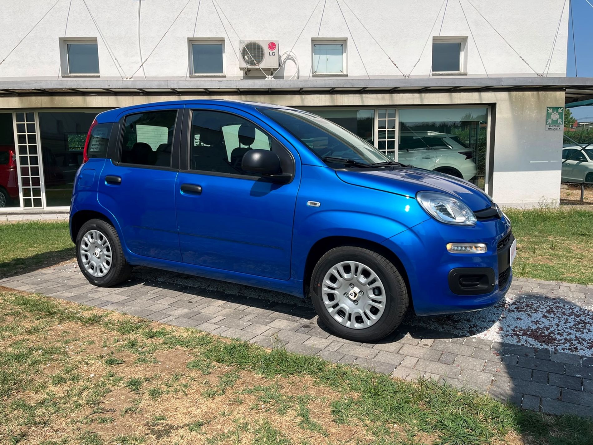 Pandina 1.0 firefly hybrid Icon s&s 65cv 5p.ti - Gallotti Auto