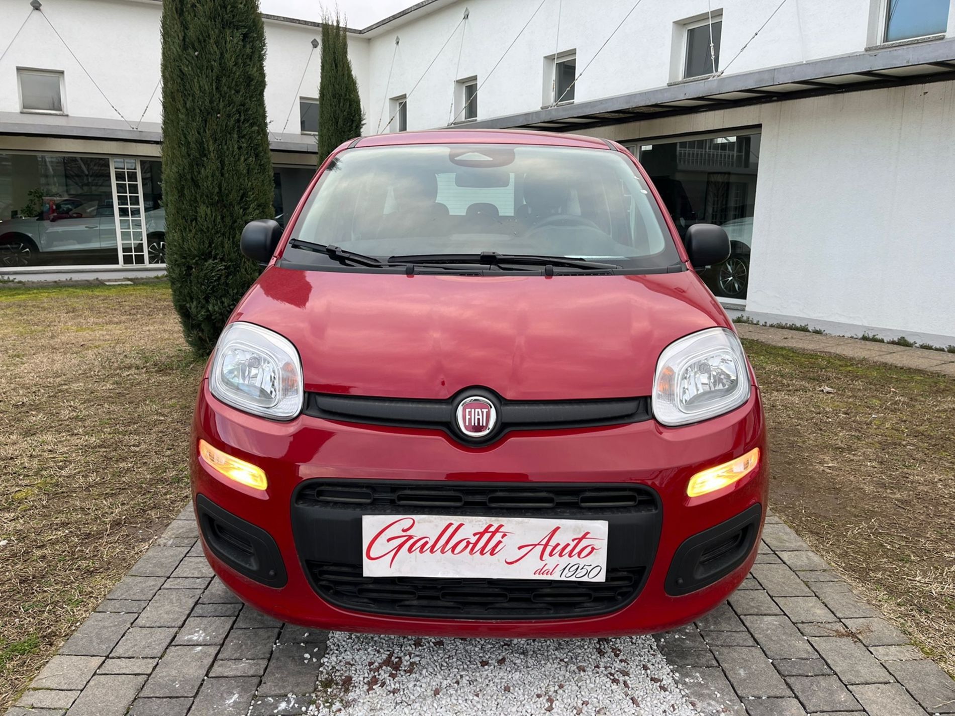 Fiat Panda 1.0 Hybrid 70cv - PRMO GALLOTTI - Gallotti Auto