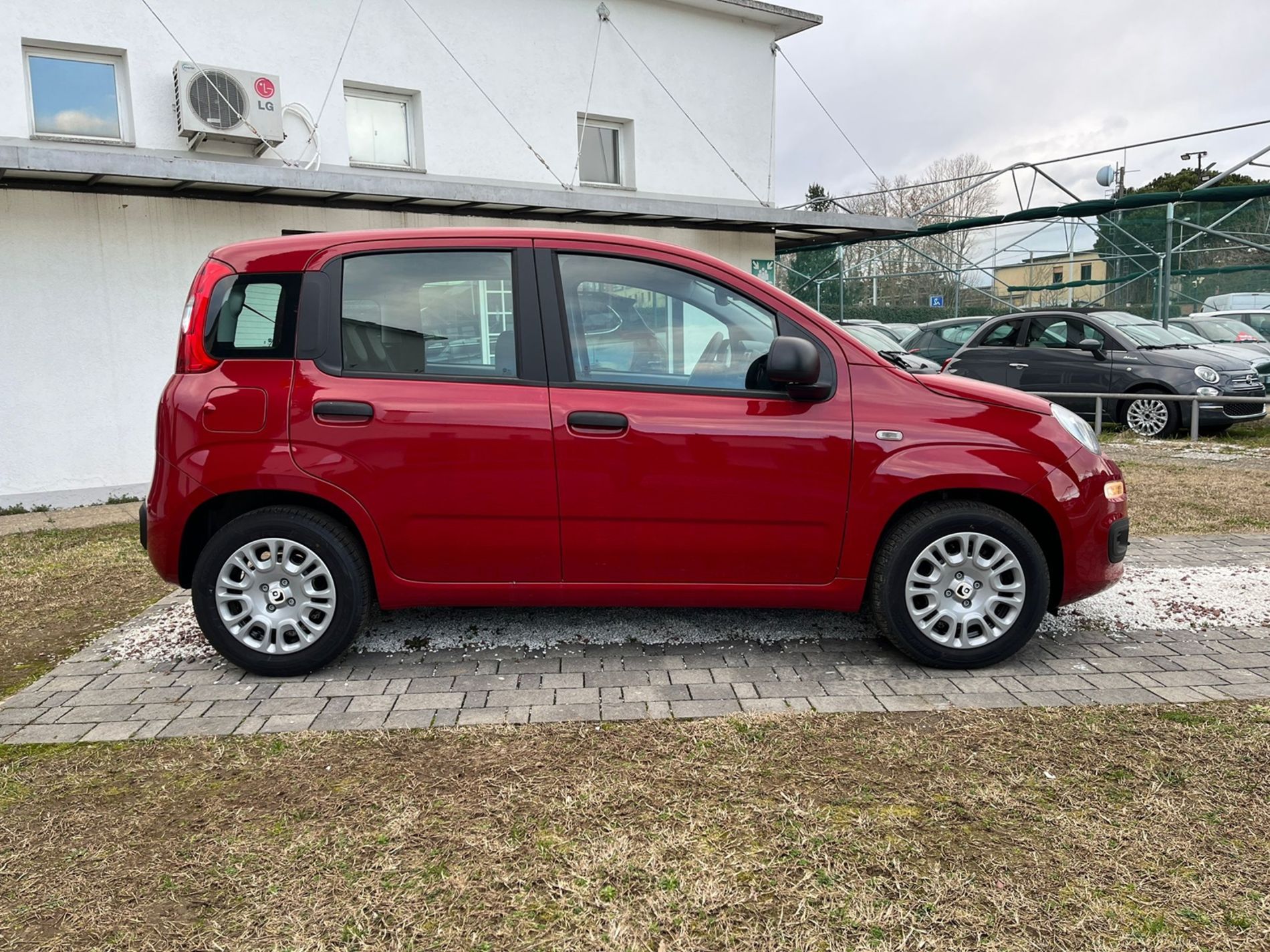 Fiat Panda 1.0 Hybrid 70cv - PRMO GALLOTTI - Gallotti Auto