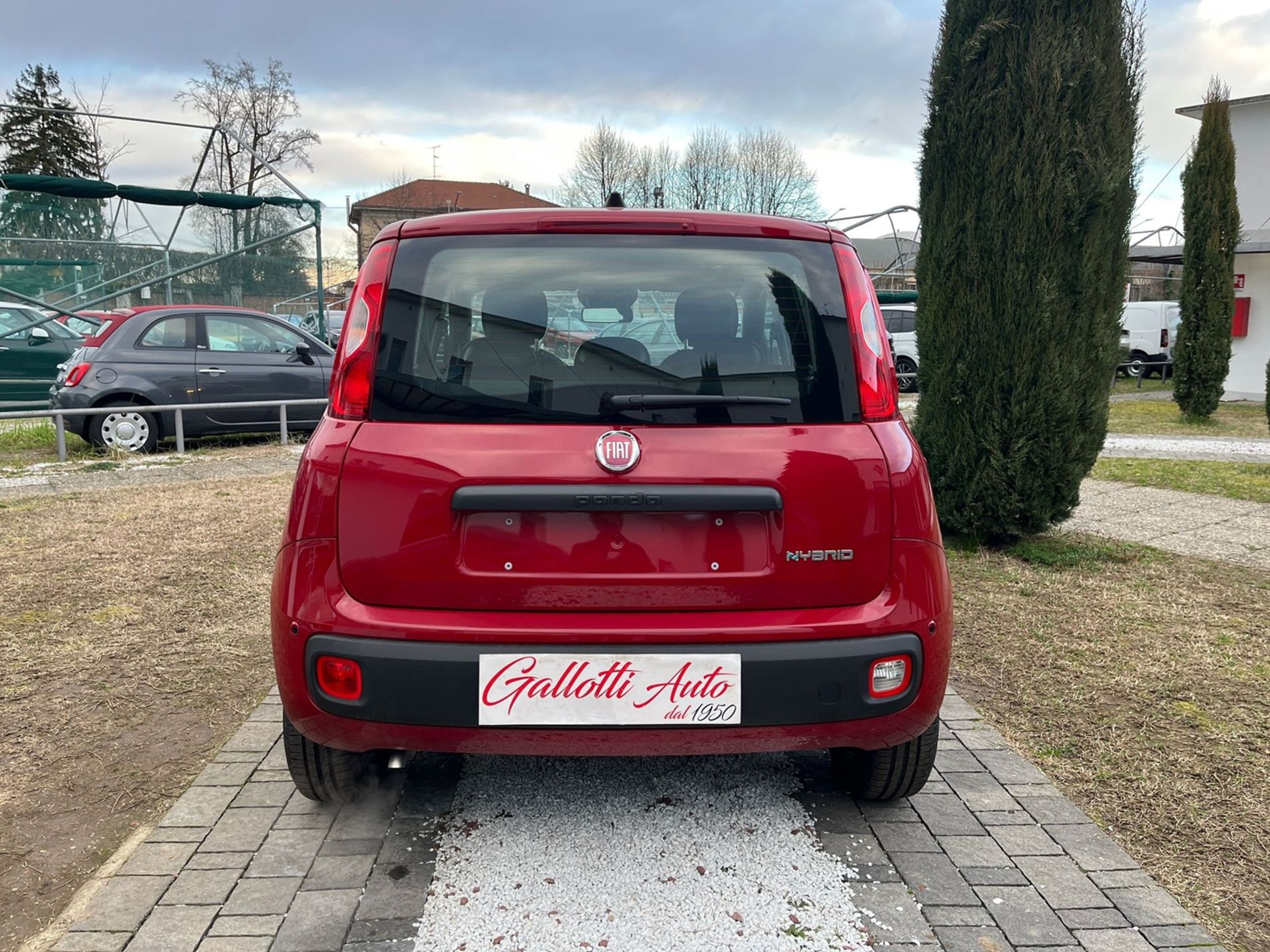 Fiat Panda 1.0 Hybrid 70cv - PRMO GALLOTTI - Gallotti Auto