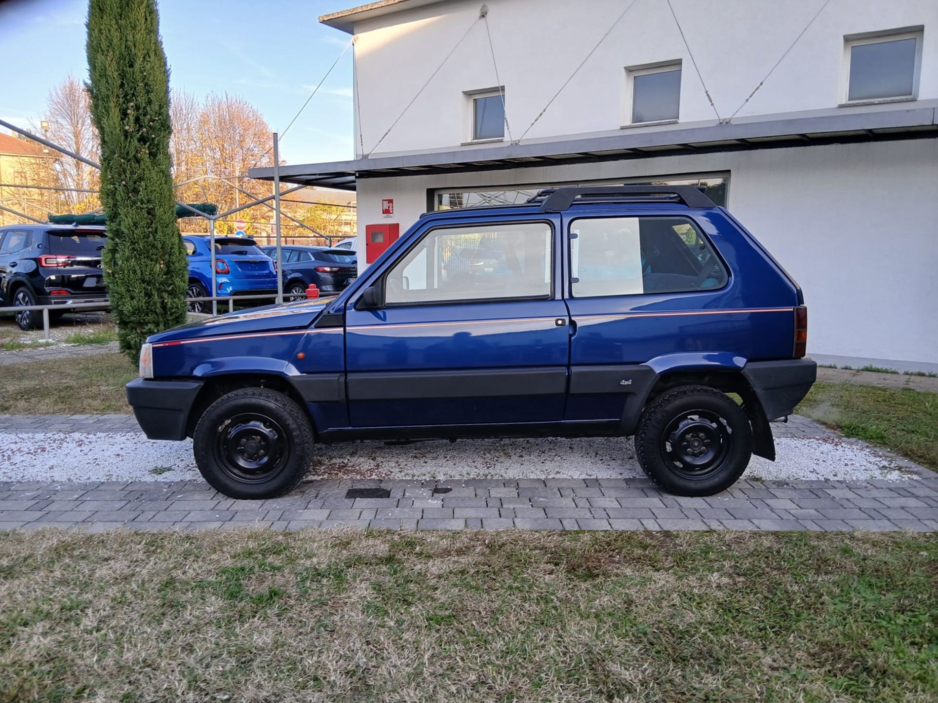Fiat Panda 1.1 Trekking 4x4   - Gallotti Auto
