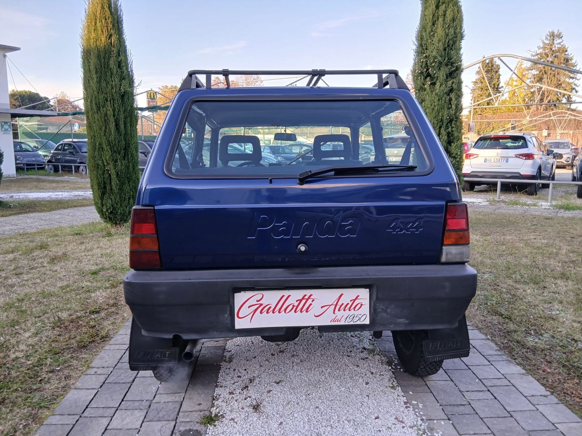 Fiat Panda 1.1 Trekking 4x4   - Gallotti Auto