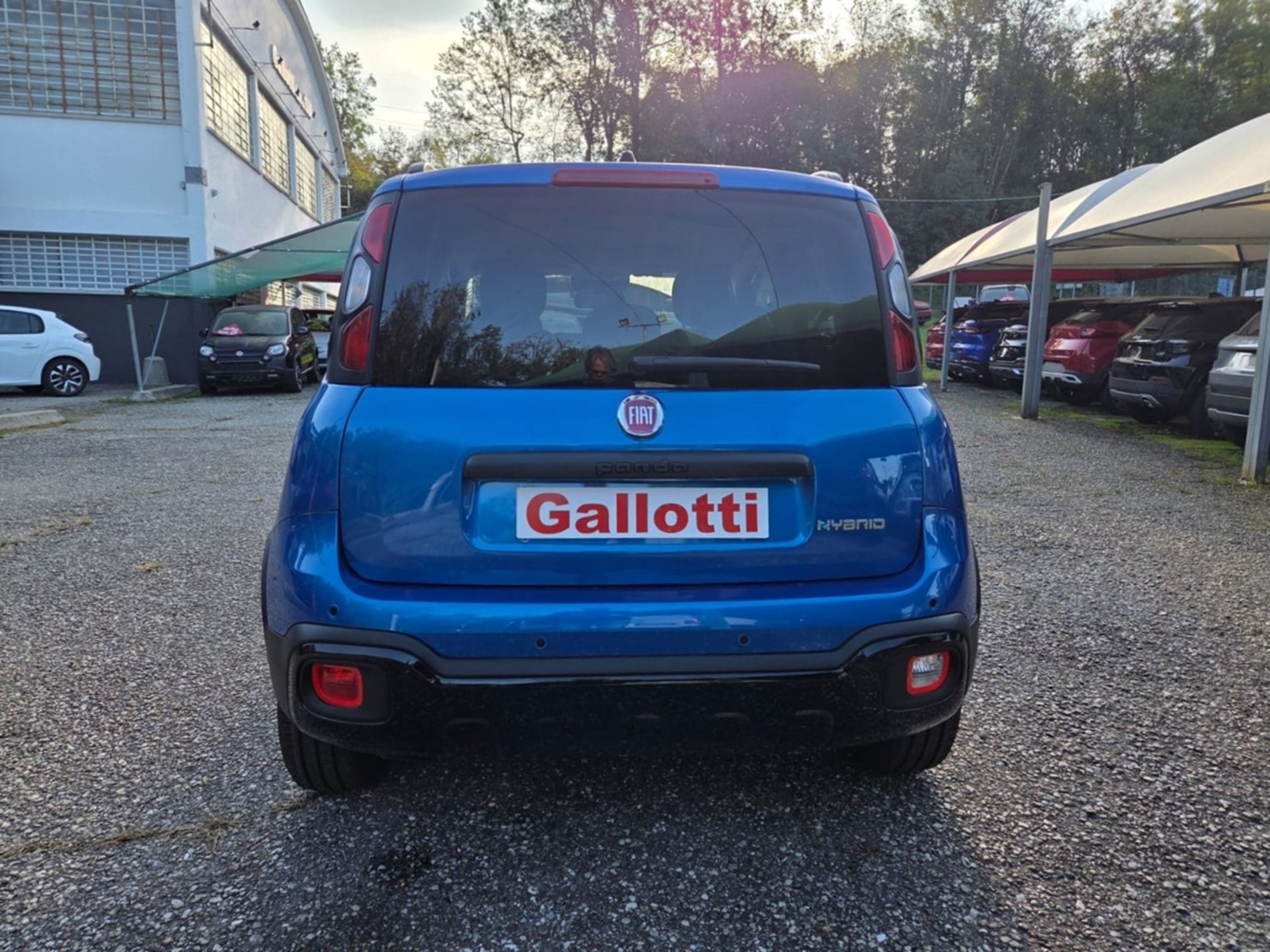 Fiat Pandina Cross 1.0 firefly hybrid s&s 65cv   - Gallotti Auto