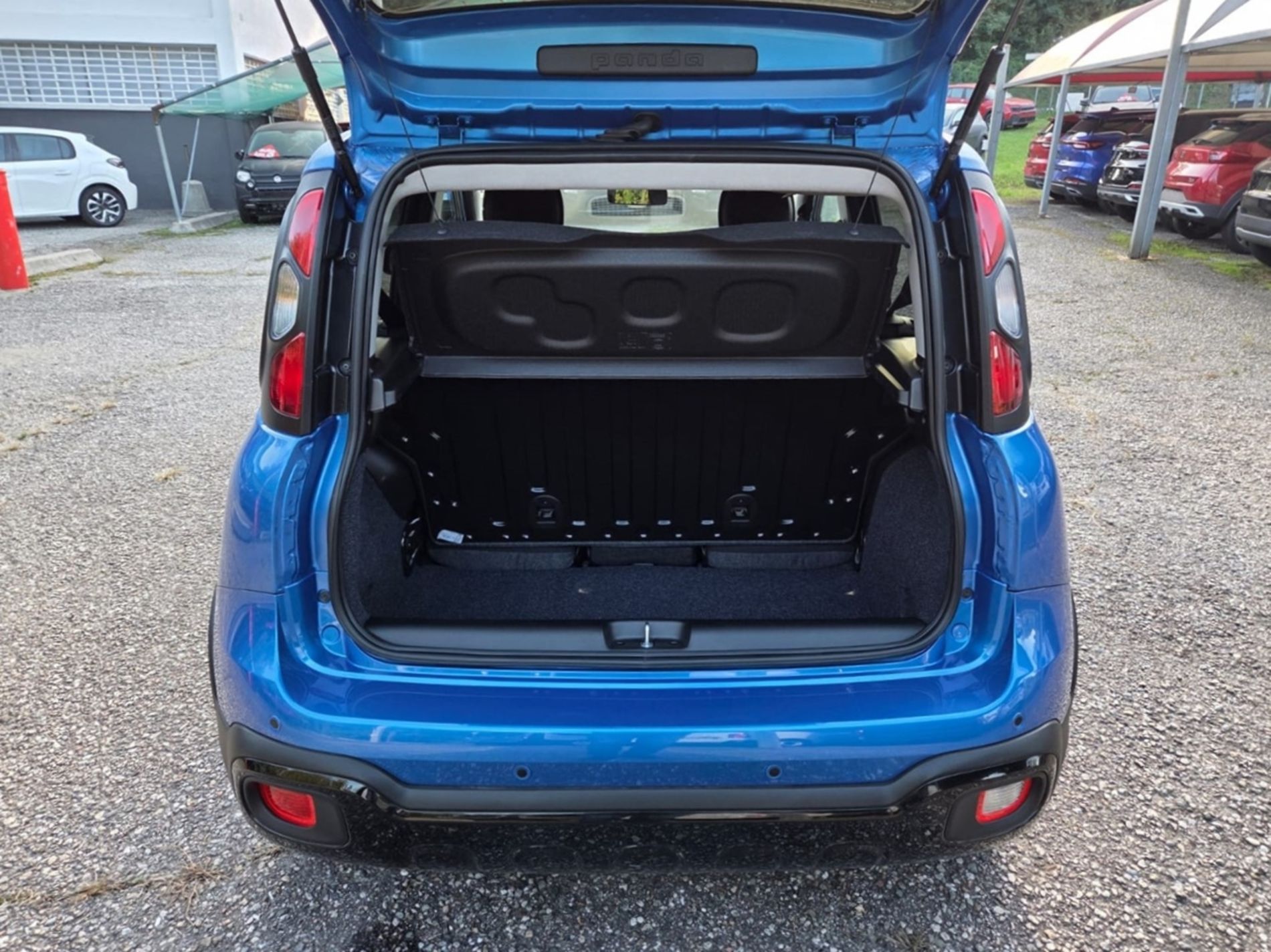 Fiat Pandina Cross 1.0 firefly hybrid s&s 65cv   - Gallotti Auto