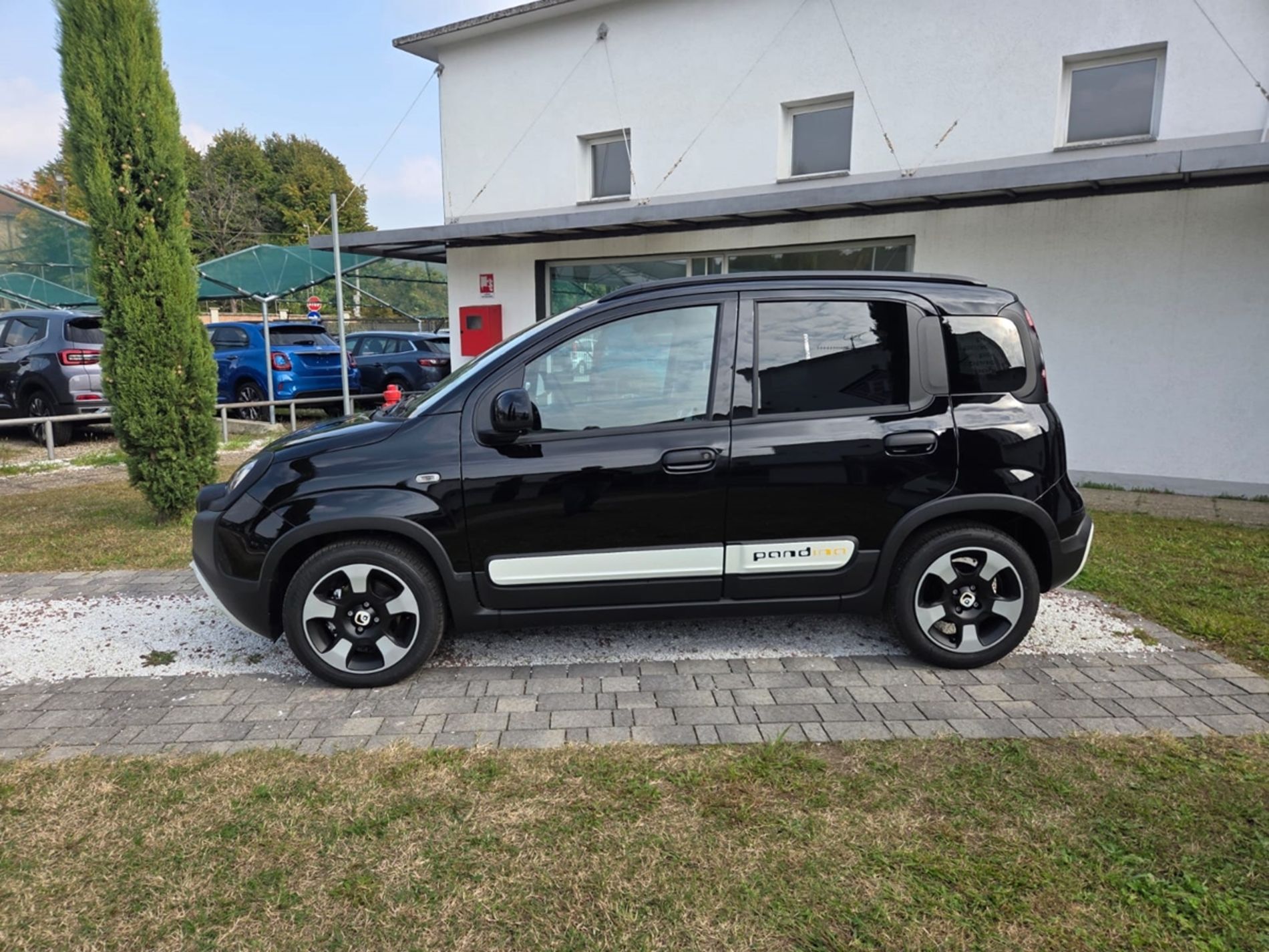 CROSS 1.0 hybrid 70cv 5p.ti - Gallotti Auto