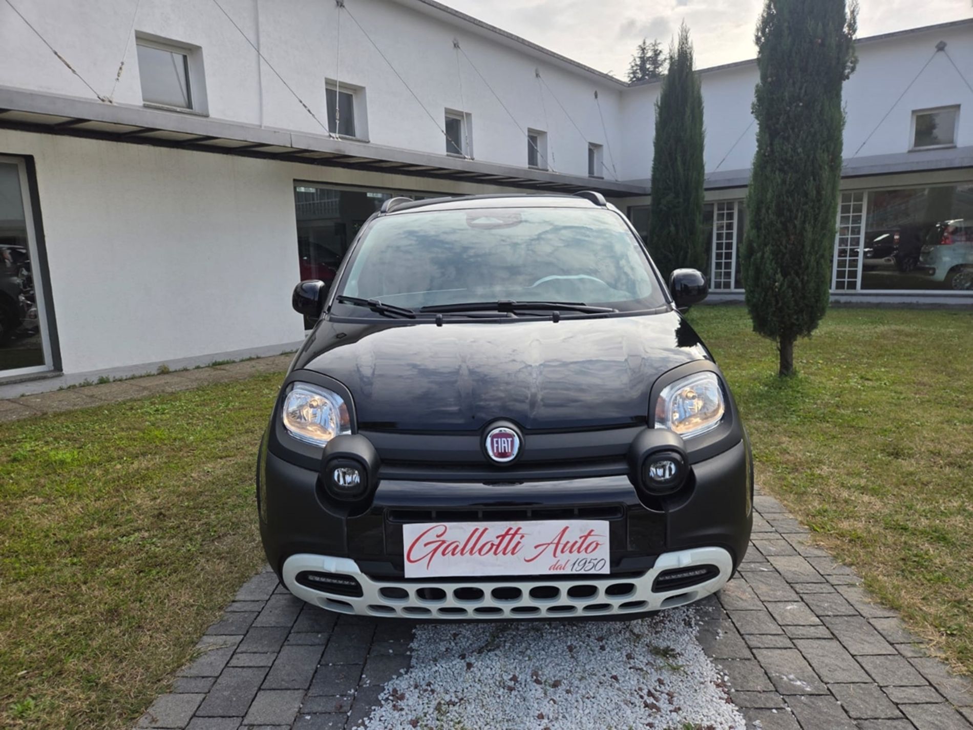 CROSS 1.0 hybrid 70cv 5p.ti - Gallotti Auto