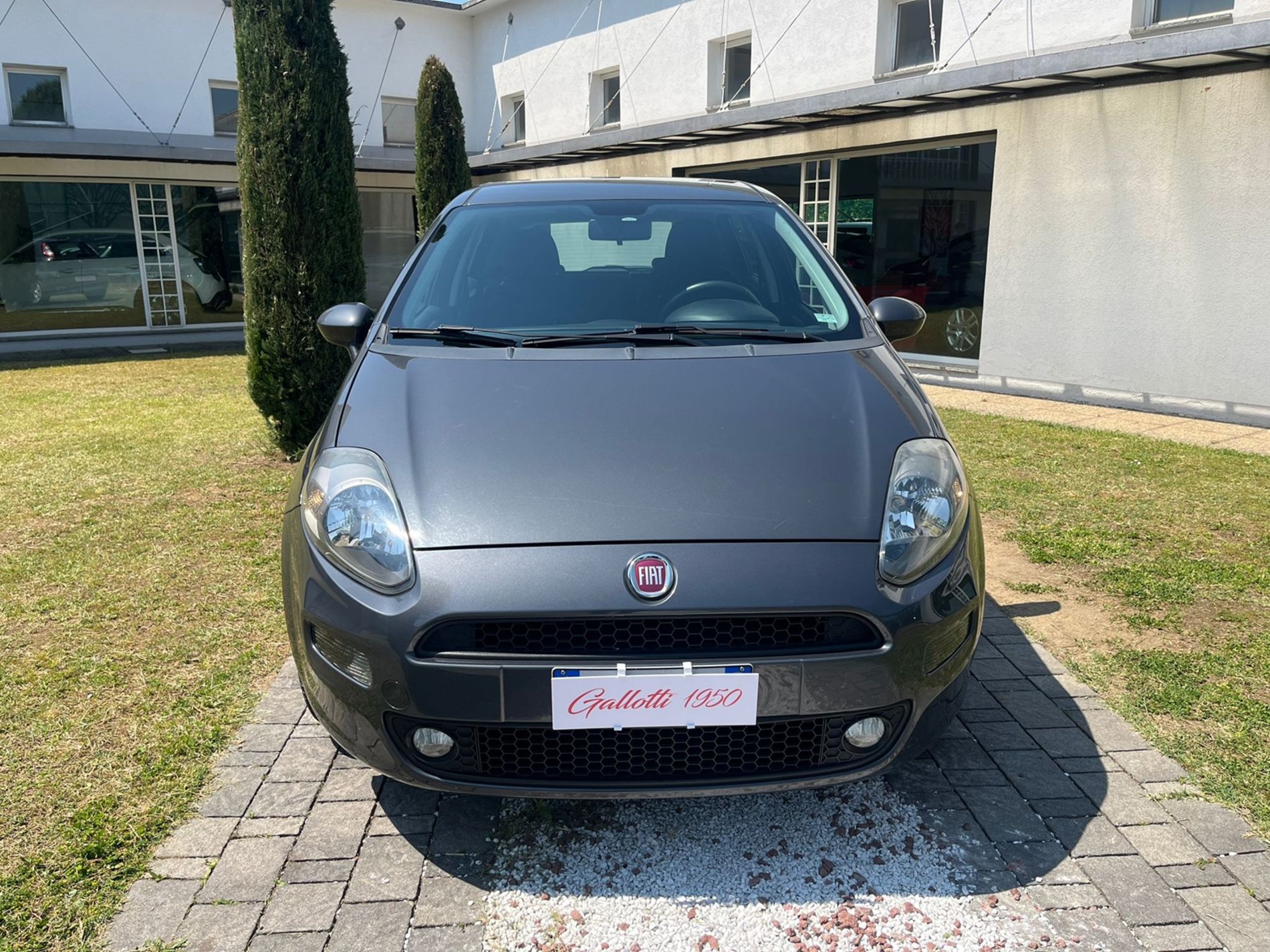 Fiat Punto 1.2 Lounge 5p E6  - RISERVATA A COMMERCIANTI D’AUTO - Gallotti Auto