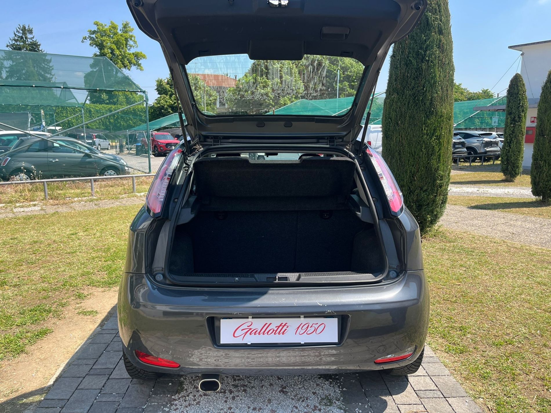 Fiat Punto 1.2 Lounge 5p E6  - RISERVATA A COMMERCIANTI D’AUTO - Gallotti Auto