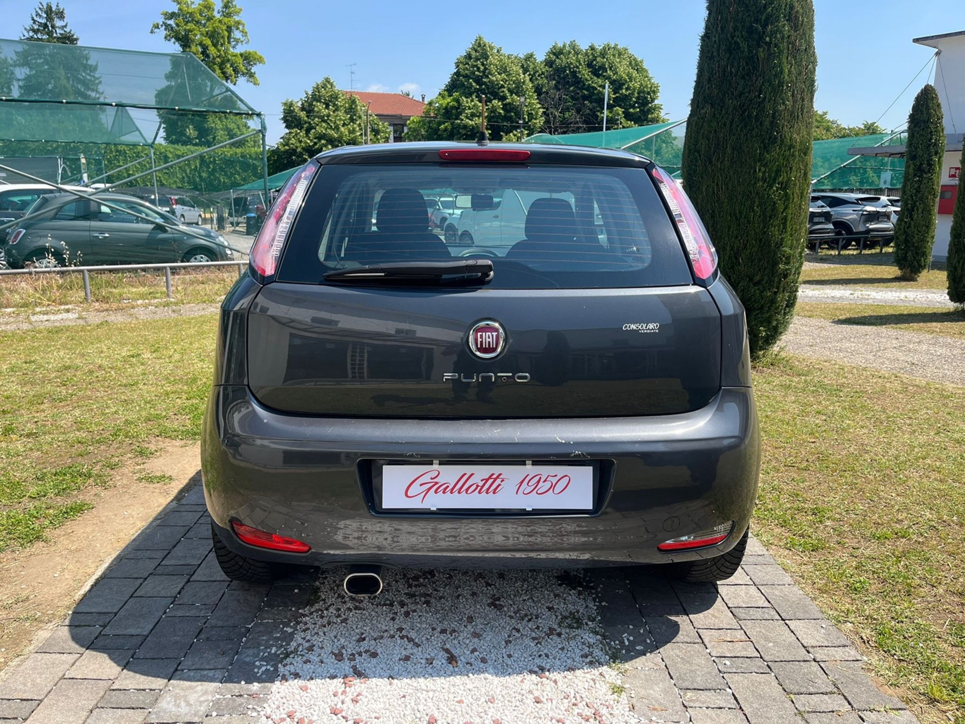 Fiat Punto 1.2 Lounge 5p E6  - RISERVATA A COMMERCIANTI D’AUTO - Gallotti Auto