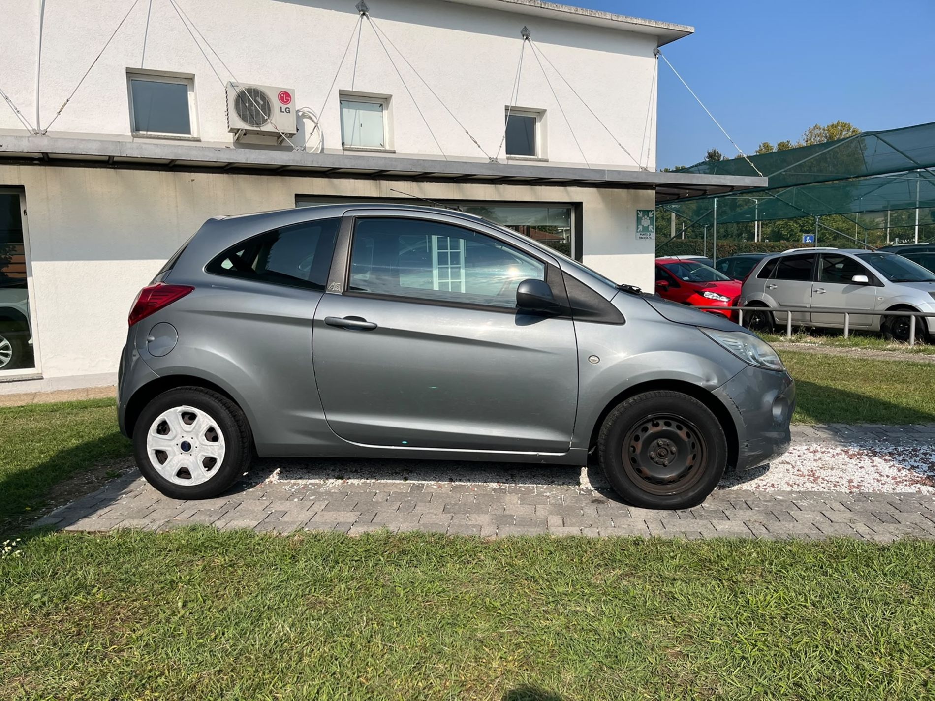 1.2 Titanium 69cv - SENZA VINCOLI DI FINANZIAMENTO - Gallotti Auto
