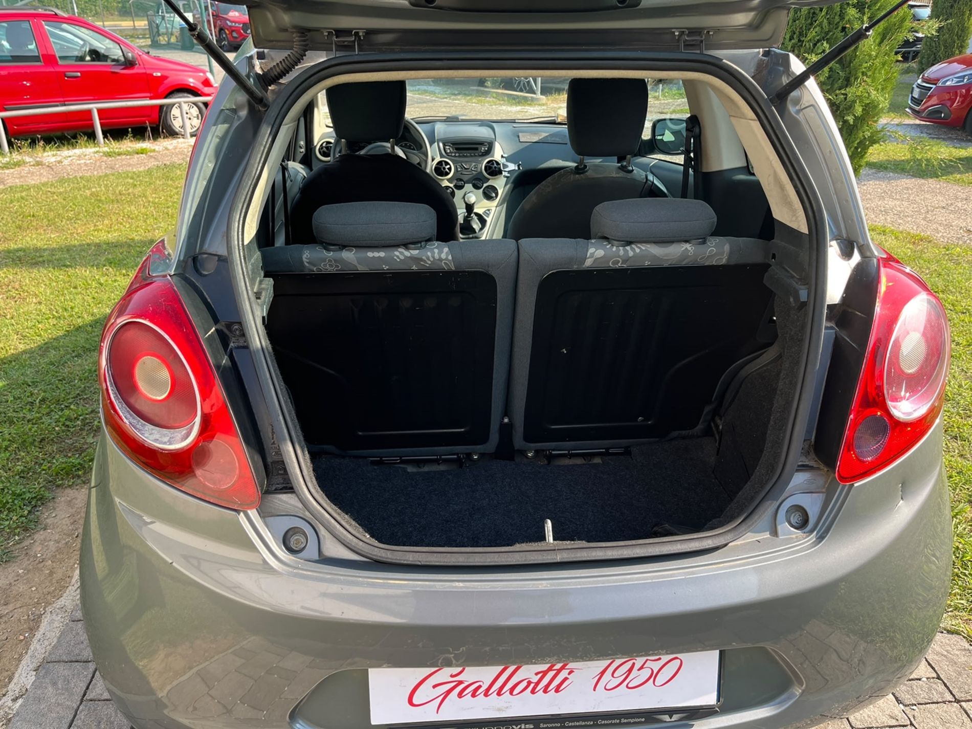 1.2 Titanium 69cv - SENZA VINCOLI DI FINANZIAMENTO - Gallotti Auto