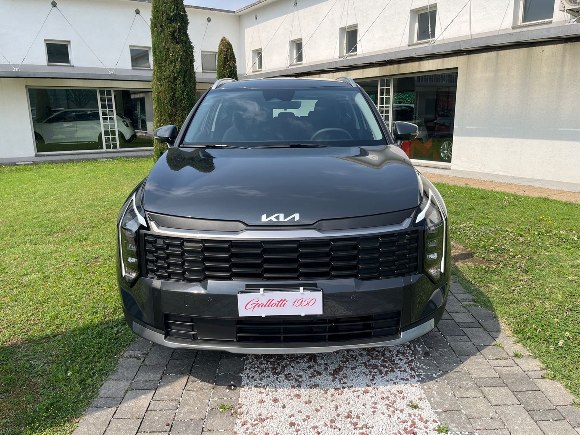 1.6 tgdi mhev Business dct - PRMO GALLOTTI - Gallotti Auto