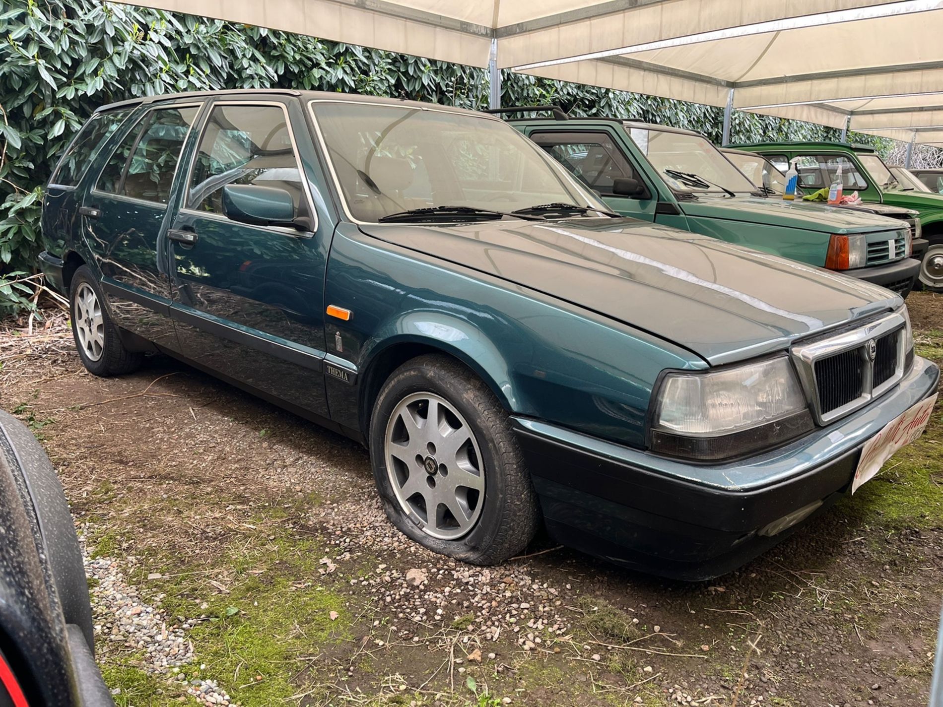 LANCIA THEMA  - Gallotti Auto