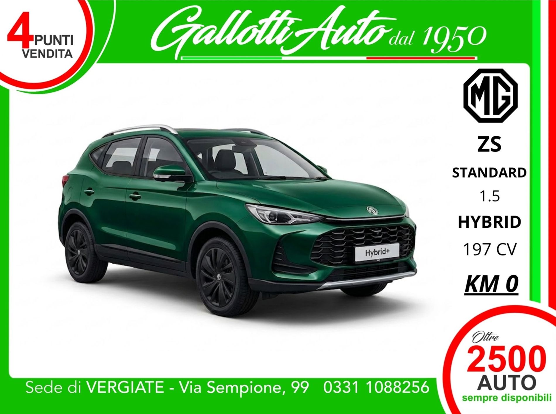 1.5 hybrid+ Standard auto - SENZA VINCOLI DI FINANZIAMENTO - Gallotti Auto