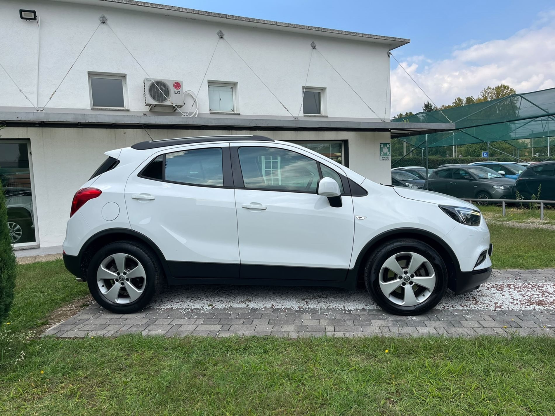 X 1.4 s&s 4x2 120cv - SENZA VINCOLI DI FINANZIAMENTO - Gallotti Auto