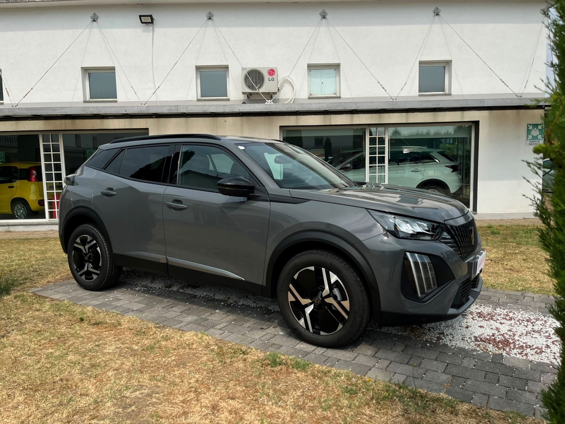 1.2 puretech Allure s&s 100cv - SENZA VINCOLI DI FINANZIAMENTO - Gallotti Auto