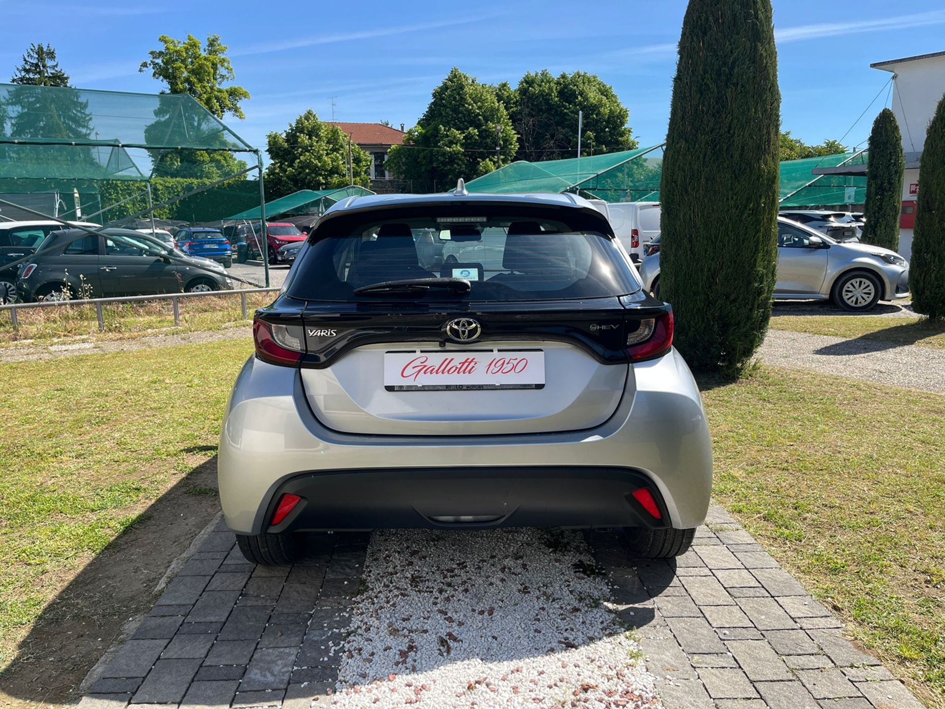 Active 1.5 Hybrid 116cv Aut. - Gallotti Auto