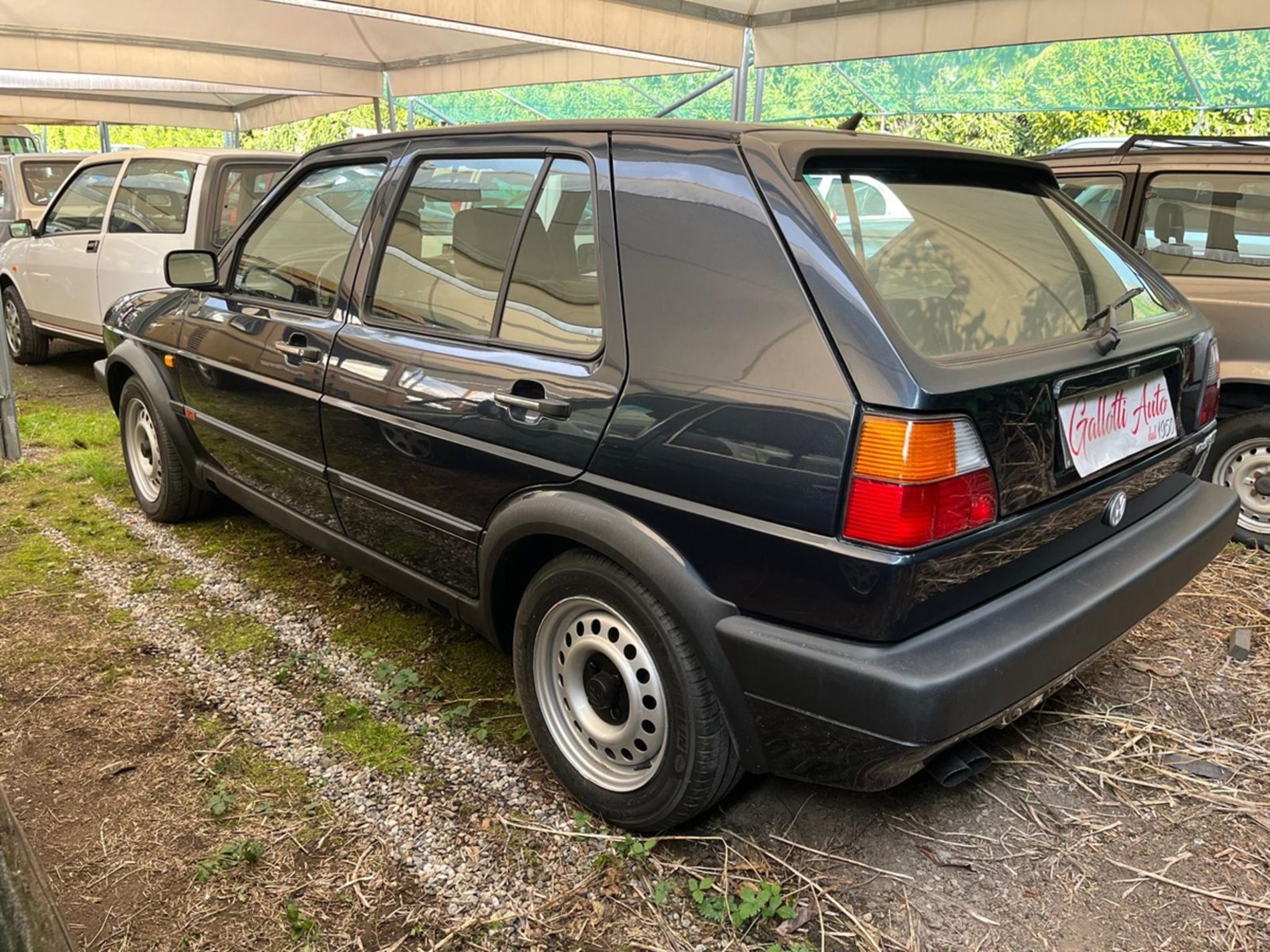 VOLKSWAGEN GOLF  - Gallotti Auto